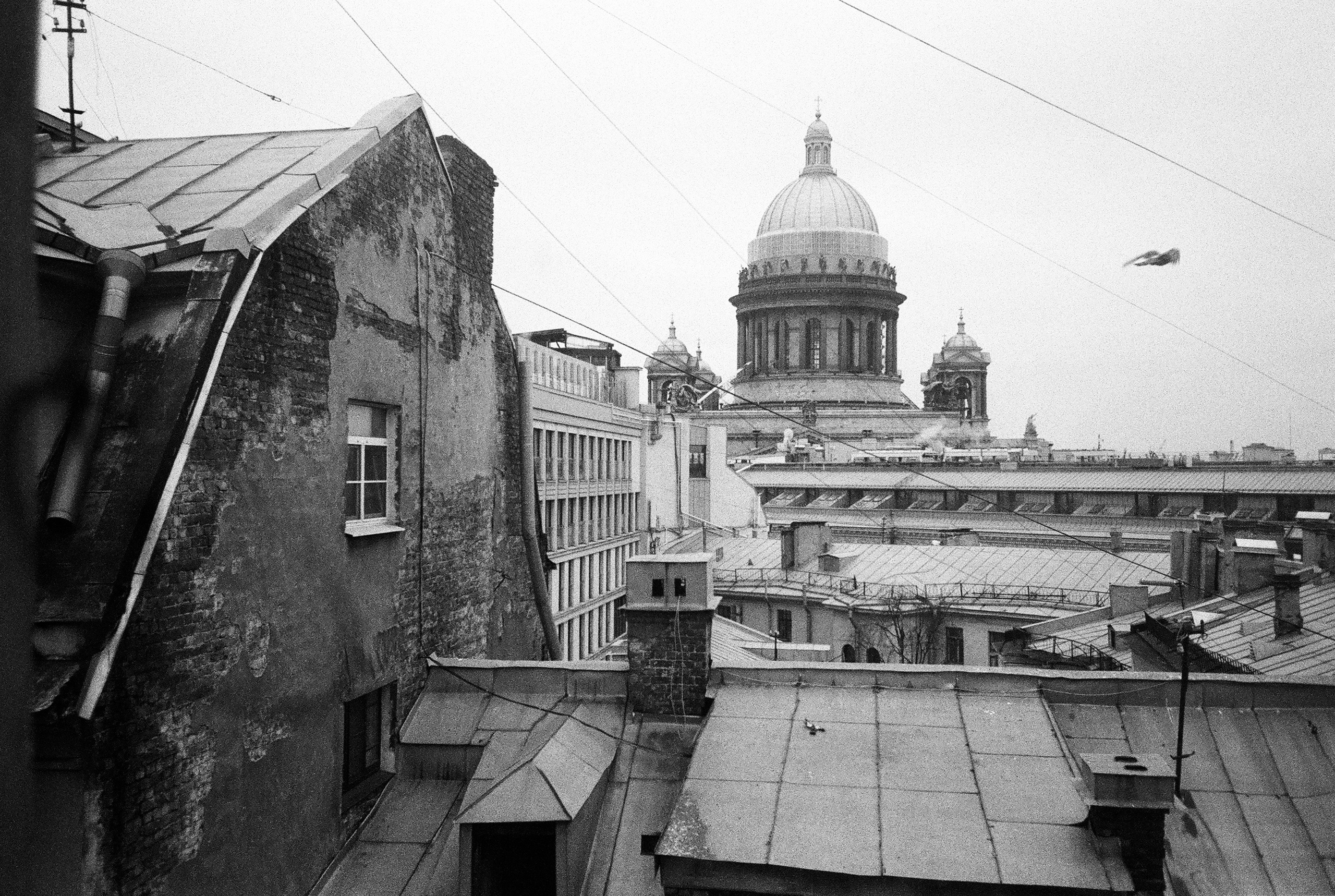 Фотографии цветные. Свадебный и семейный пленочный фотограф в Петербурге Истомина Ирина