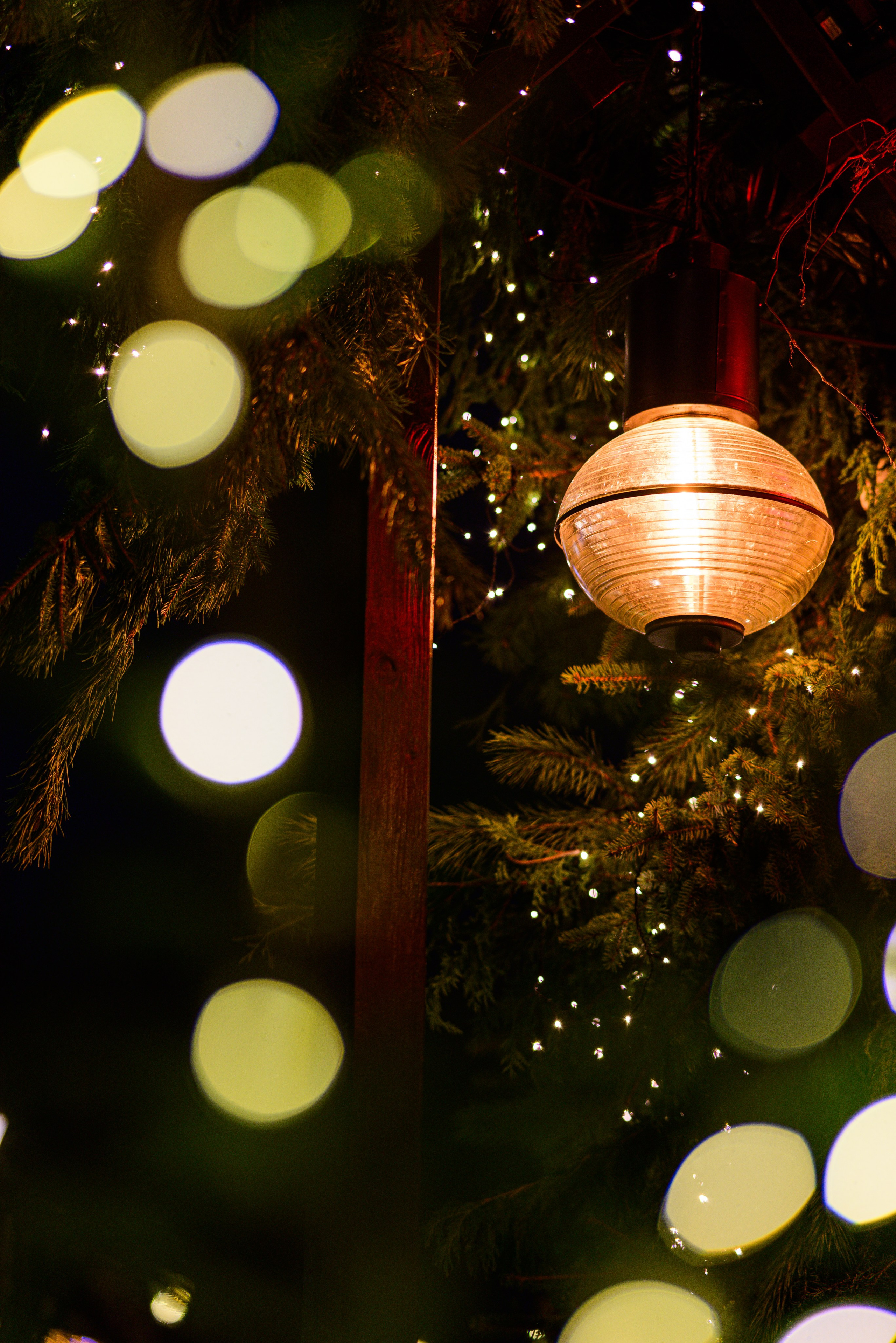 Зимняя Калининградская область. Фотосъемка и видеосъемка в Калининграде Liveemotion.pro