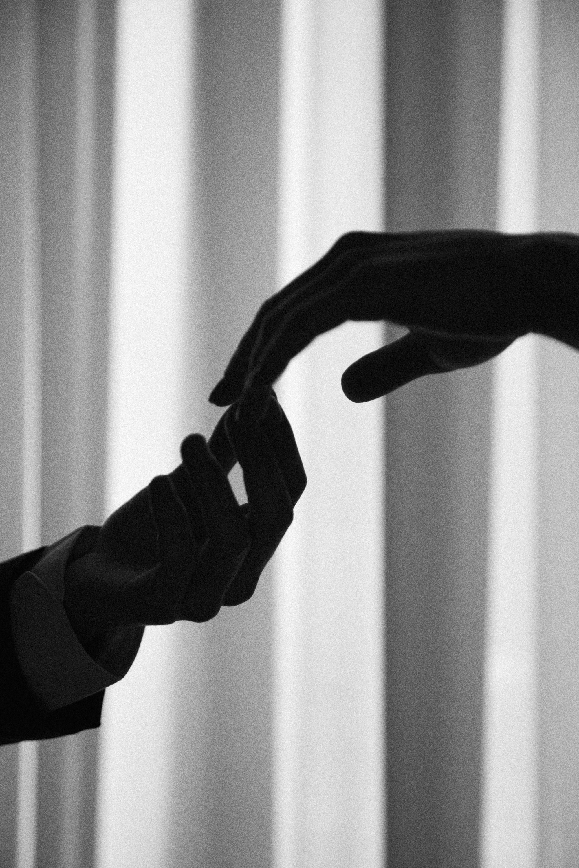 Роспись в Екатерининском зале 04.02.2025. Свадебный и семейный фотограф Виолетта Сидельникова. Краснодар, Россия, Беларусь, Европа