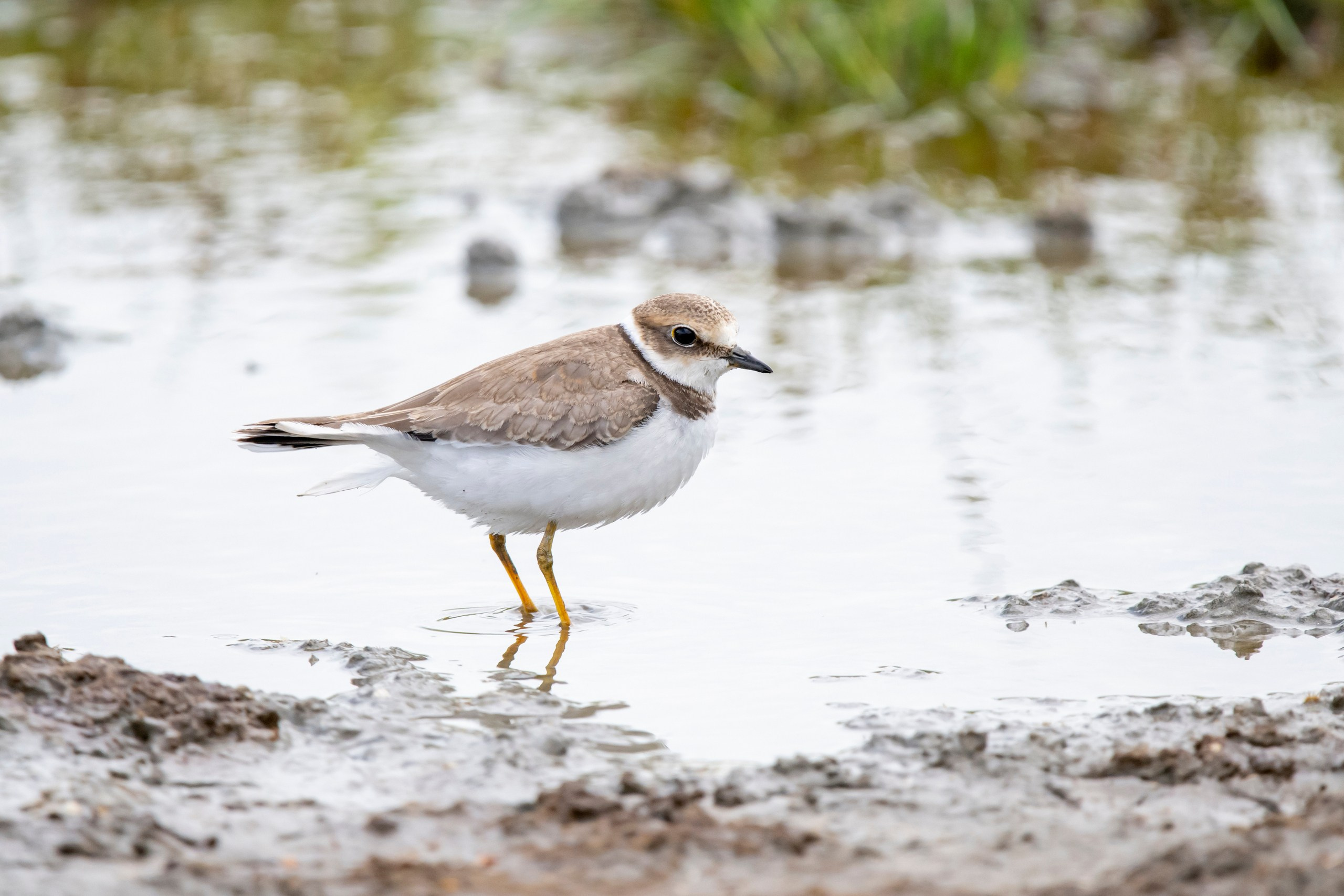 Природа Дагестана, сентябрь 2024. Foto-Zuev фотография как искусство