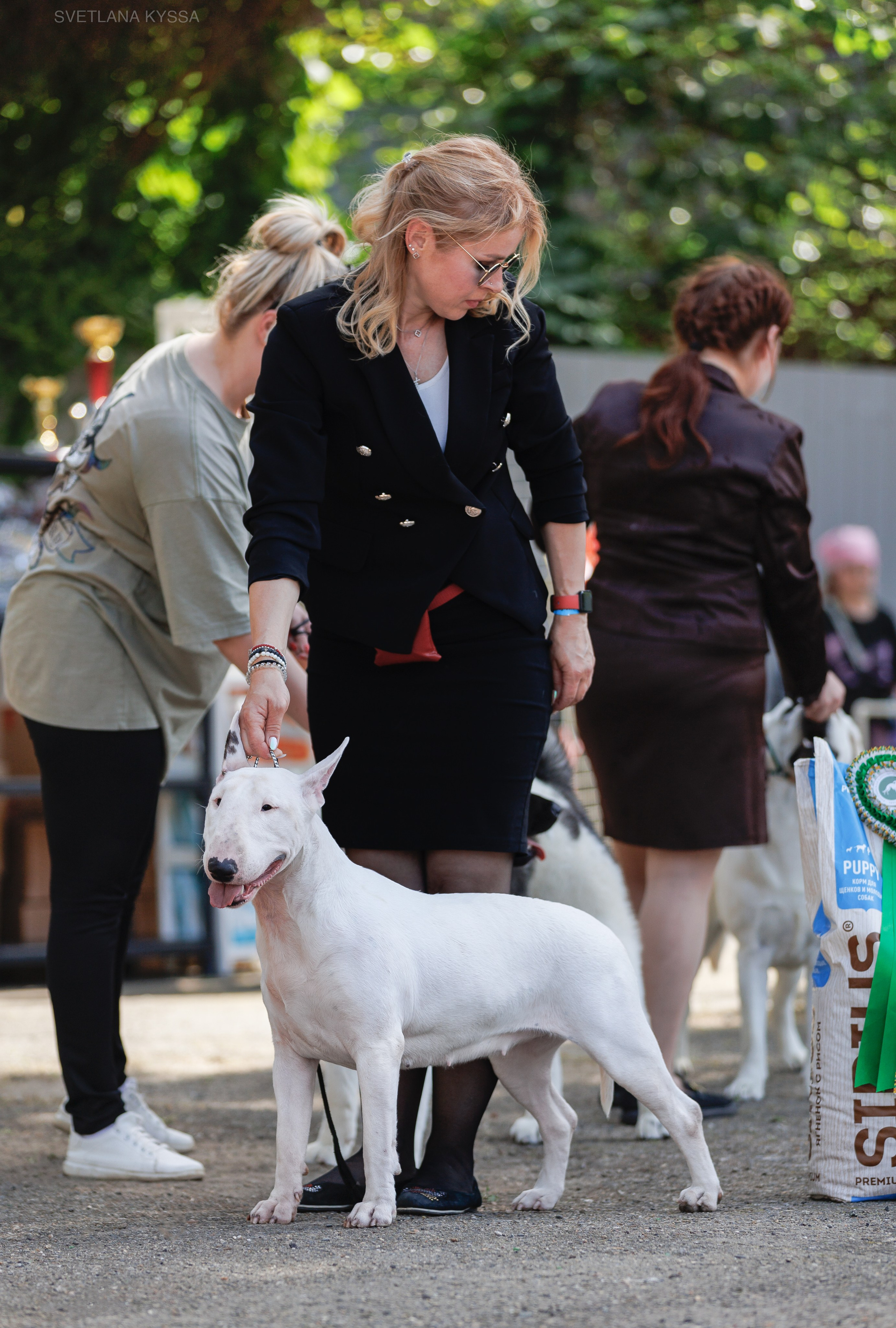 Фото с выставки собак. Фотограф — анималист Светлана Кысса|фотограф собак в Краснодаре и Нижнем Новгороде