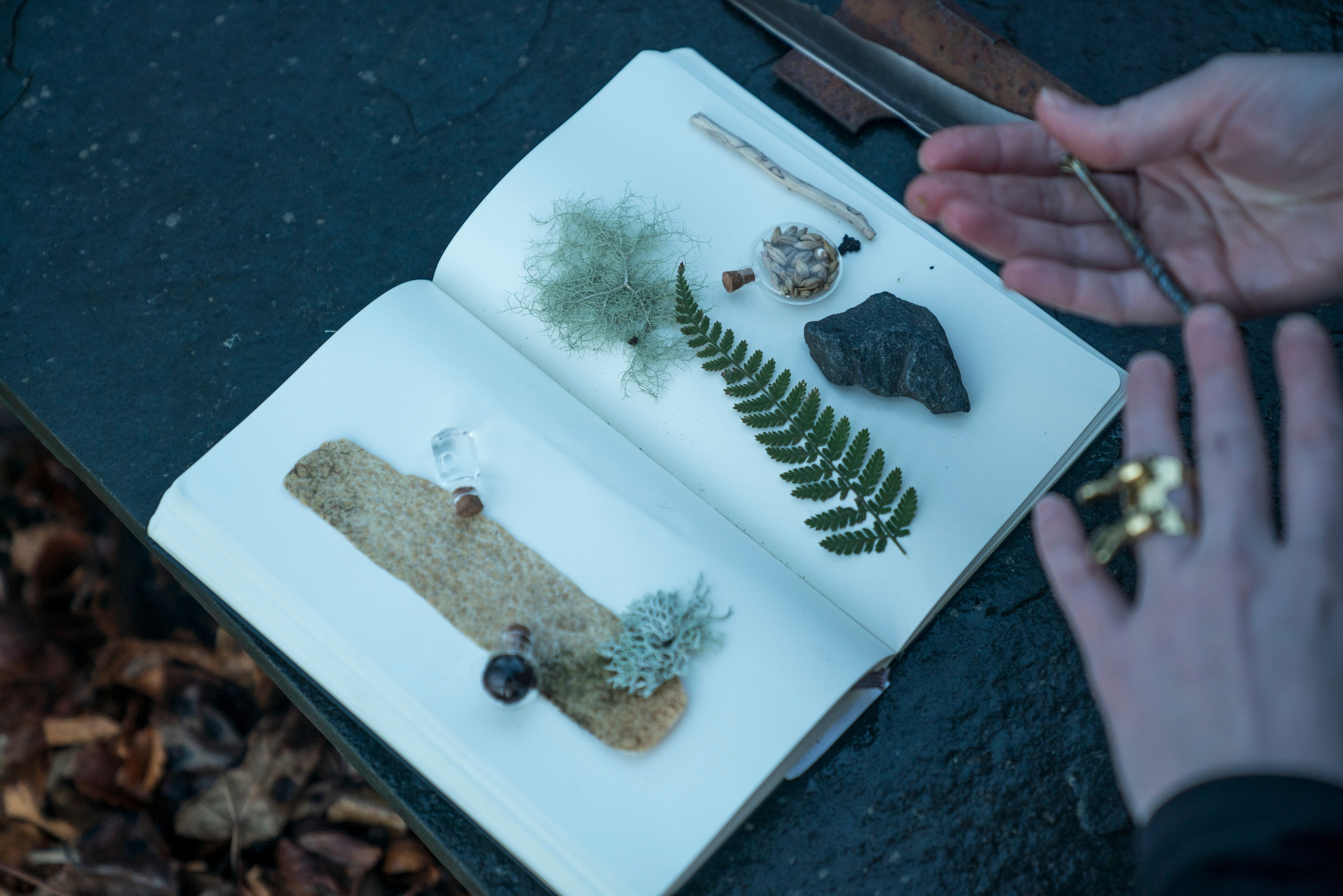 Вискикурня Glenmorangie — Шотландия. Creative photographer Denis Klero