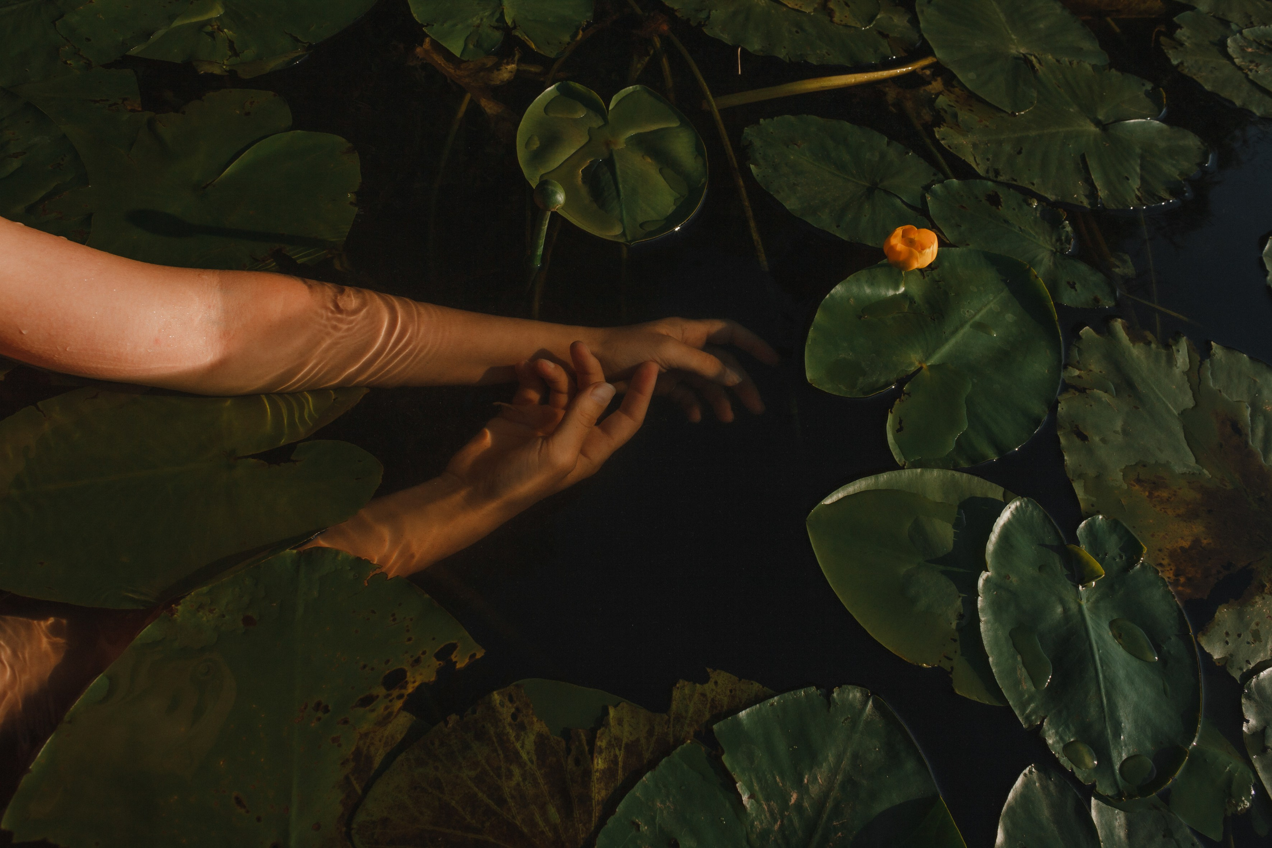 Ню 18+ Съёмка в воде Рассвет Кувшинки. Портретный и репортажный фотограф в Москве, Ольга Ларема