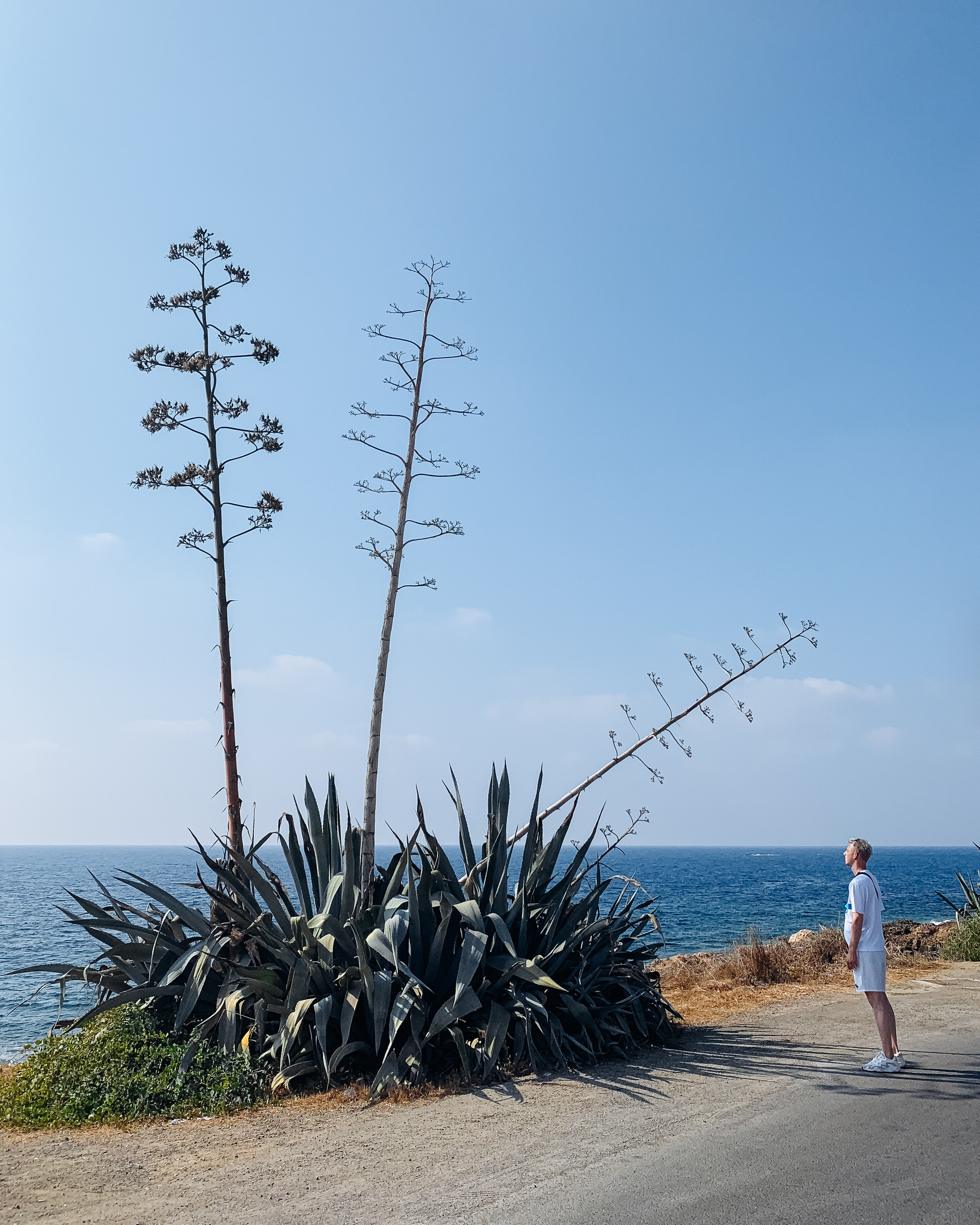 Cyprus