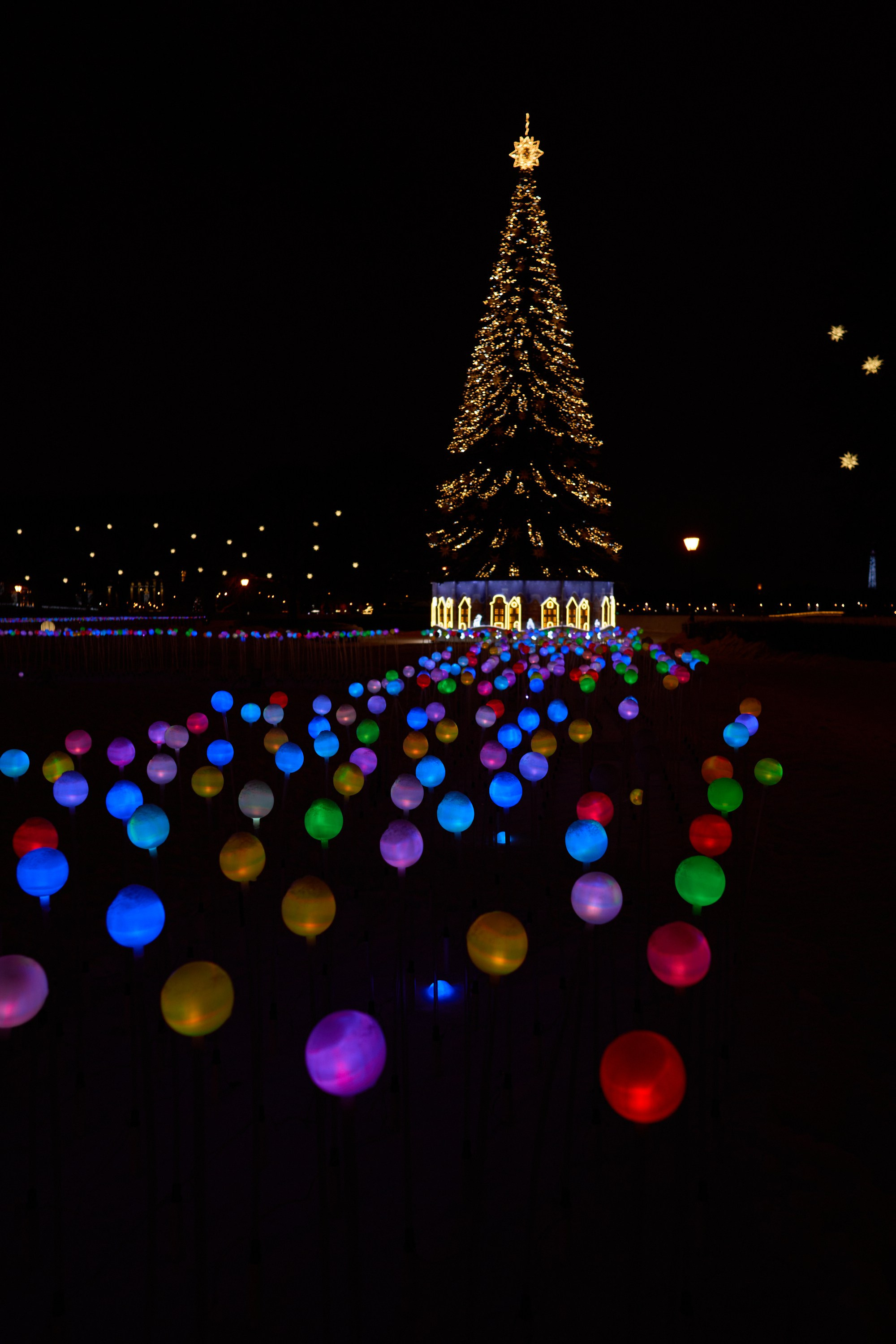 Рождество въ Санктъ-Петербургѣ. Фотографъ Сергѣевъ. Поймать мгновеніе