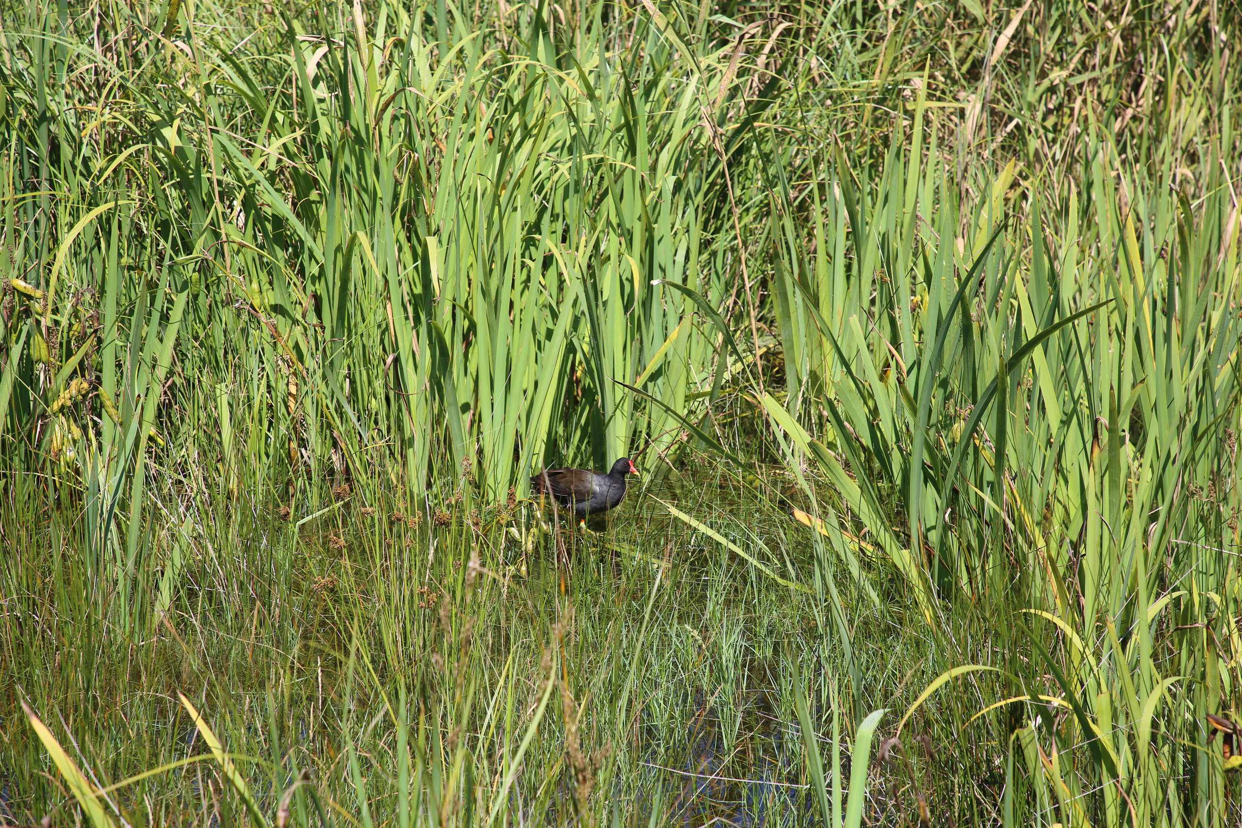 Esmoriz, Portugal. Andrey Filippov Photographer