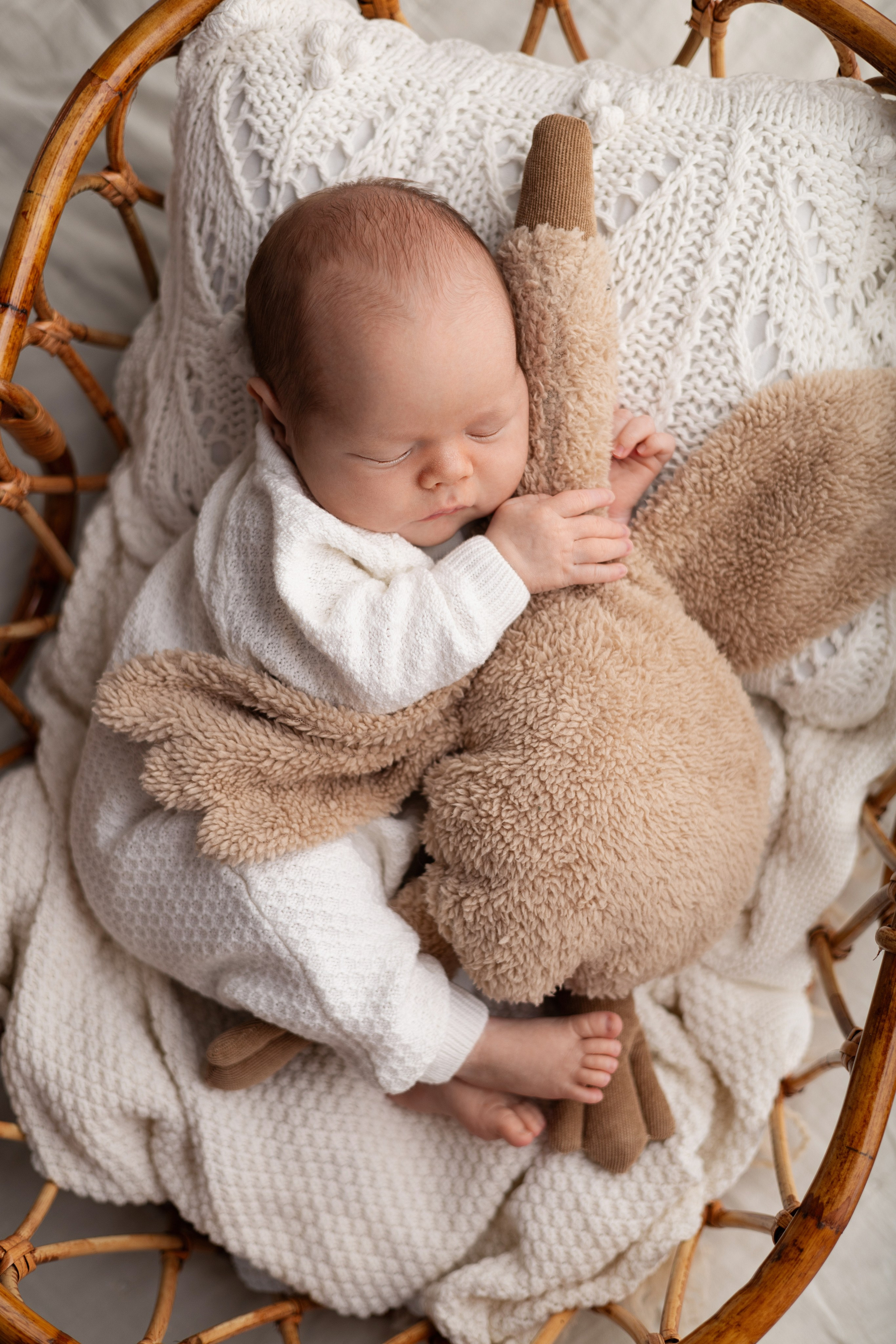 Лев. Лилия Алтухова — фотограф новорожденных в Москве и области