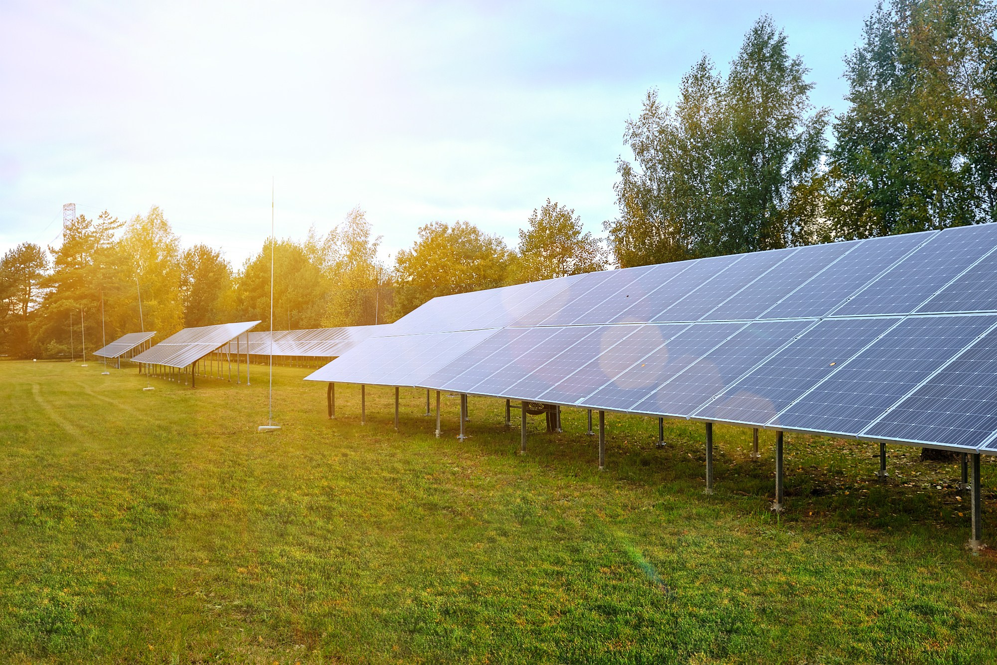 Фотография солнечных панелей на зелёном поле в тёплом вечернем свете. Атмосферный кадр для проектов в сфере возобновляемой энергетики и корпоративных презентаций.