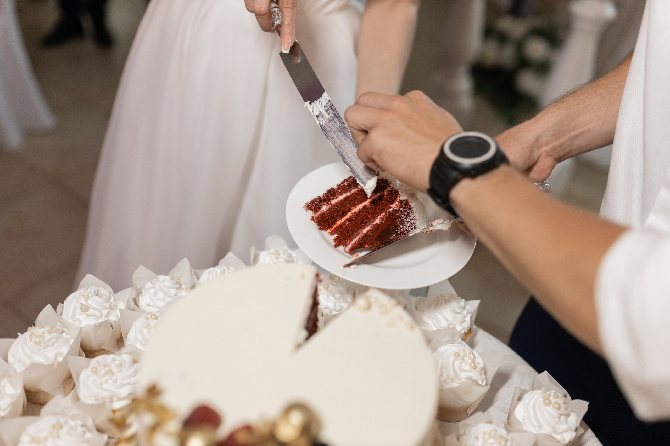 Репортаж. Фотограф в Краснодарском крае