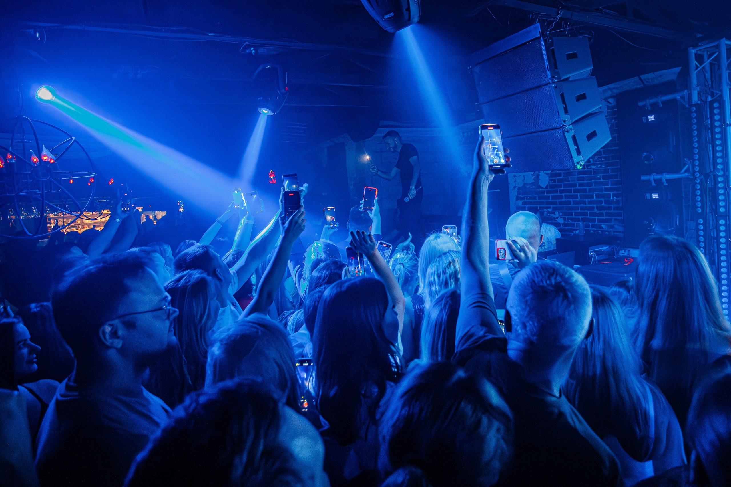 «Шура"_Чайка на пляже_Ялта_18.07.2025 г. Аминов Руслан | Фотограф