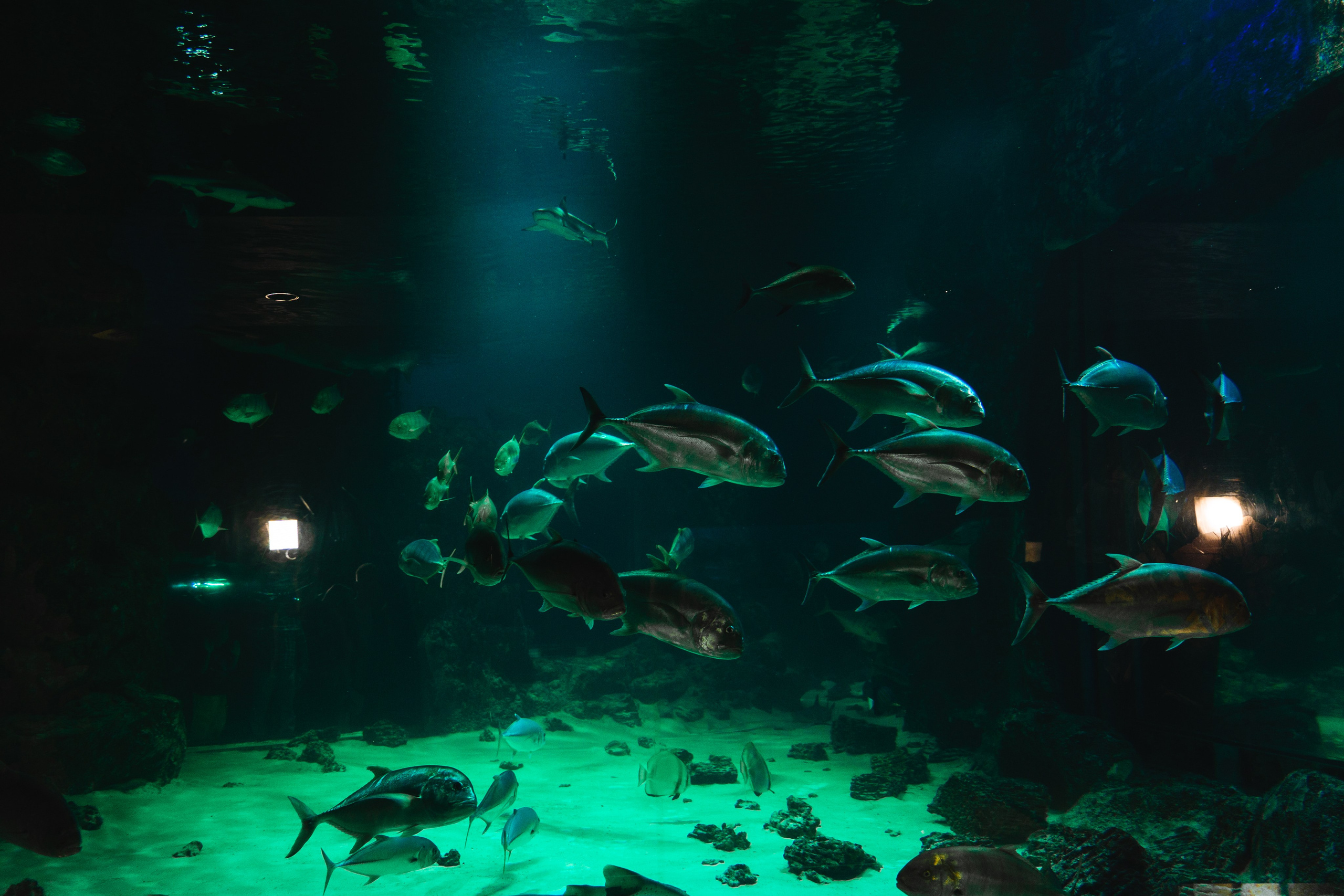 K&R. Фотограф Москва. Екатерина Дударевич