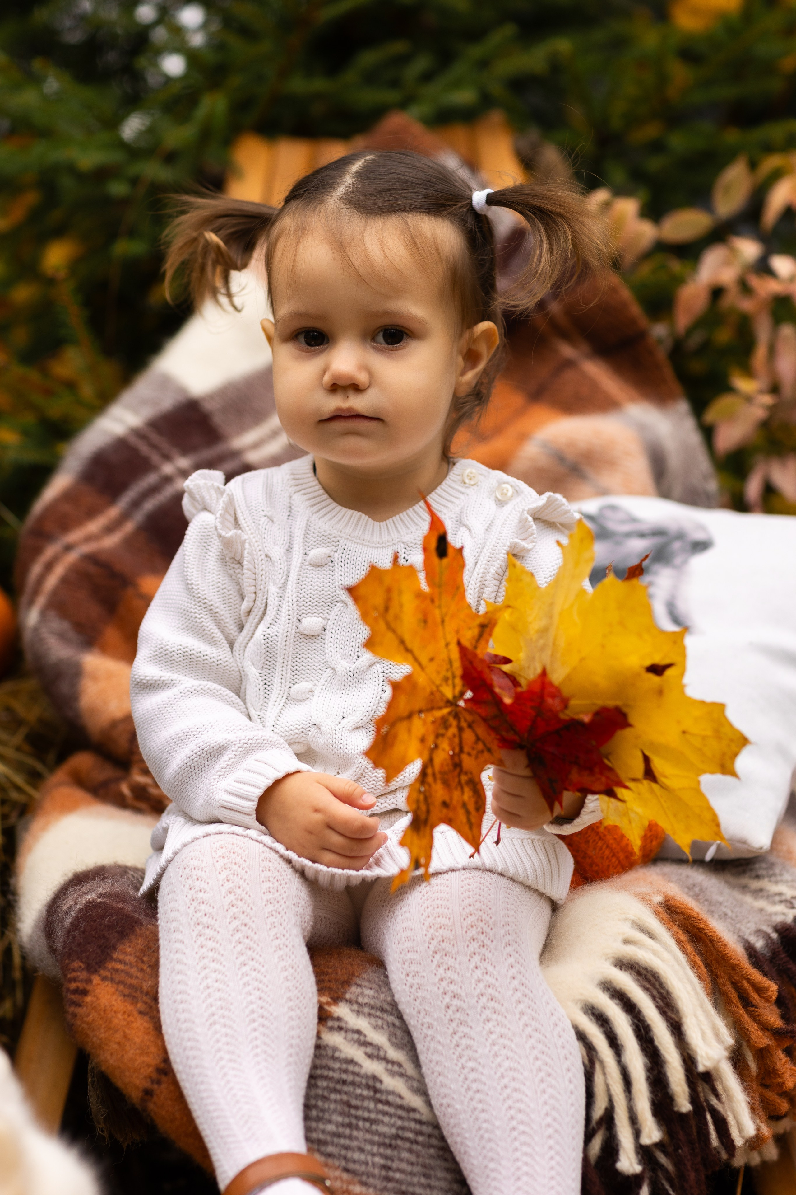 Осень. Профессиональный ретушер Москва и весь мир — Елена Тимченко