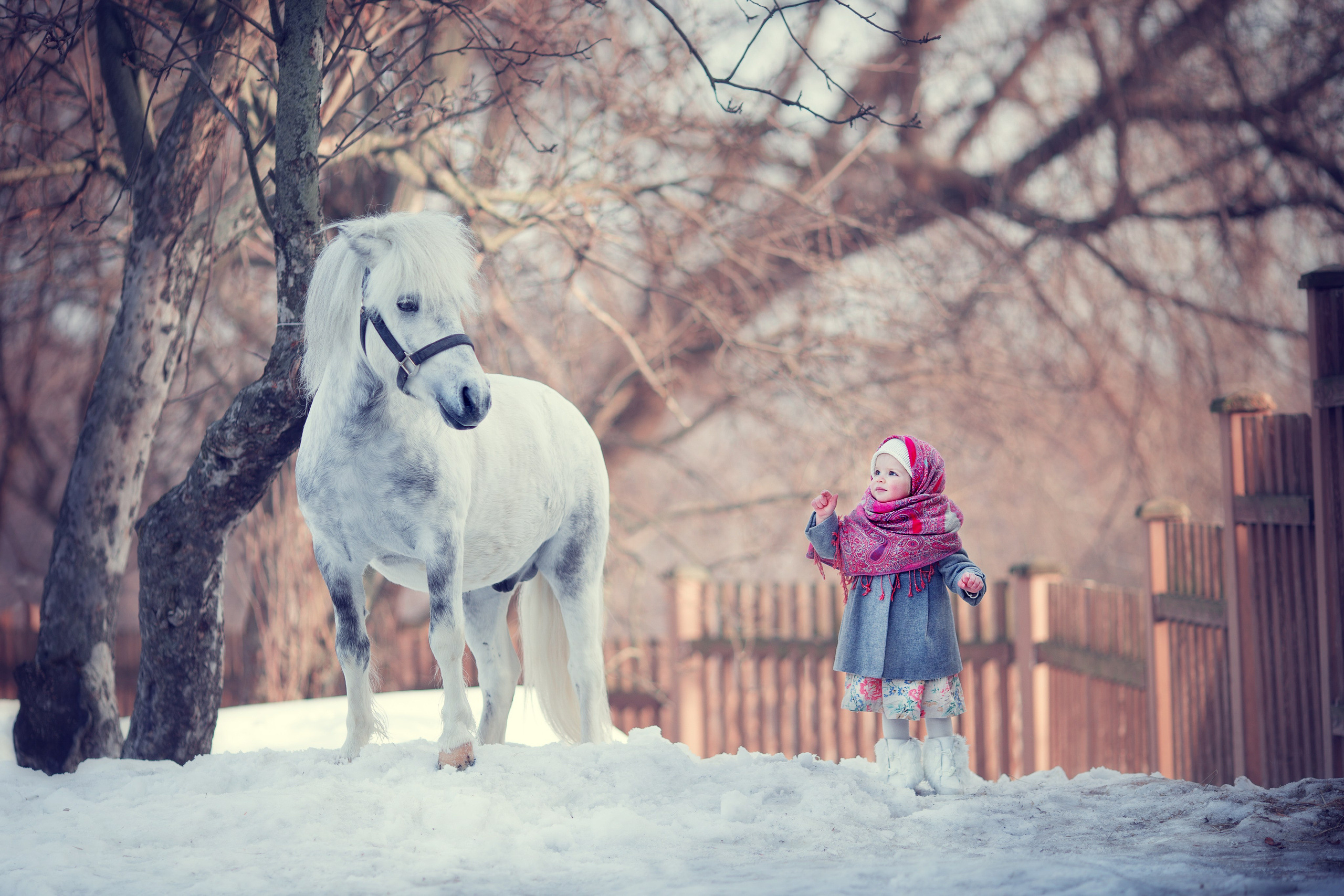 Портфолио. Карнеева Елена. Детский, семейный фотограф