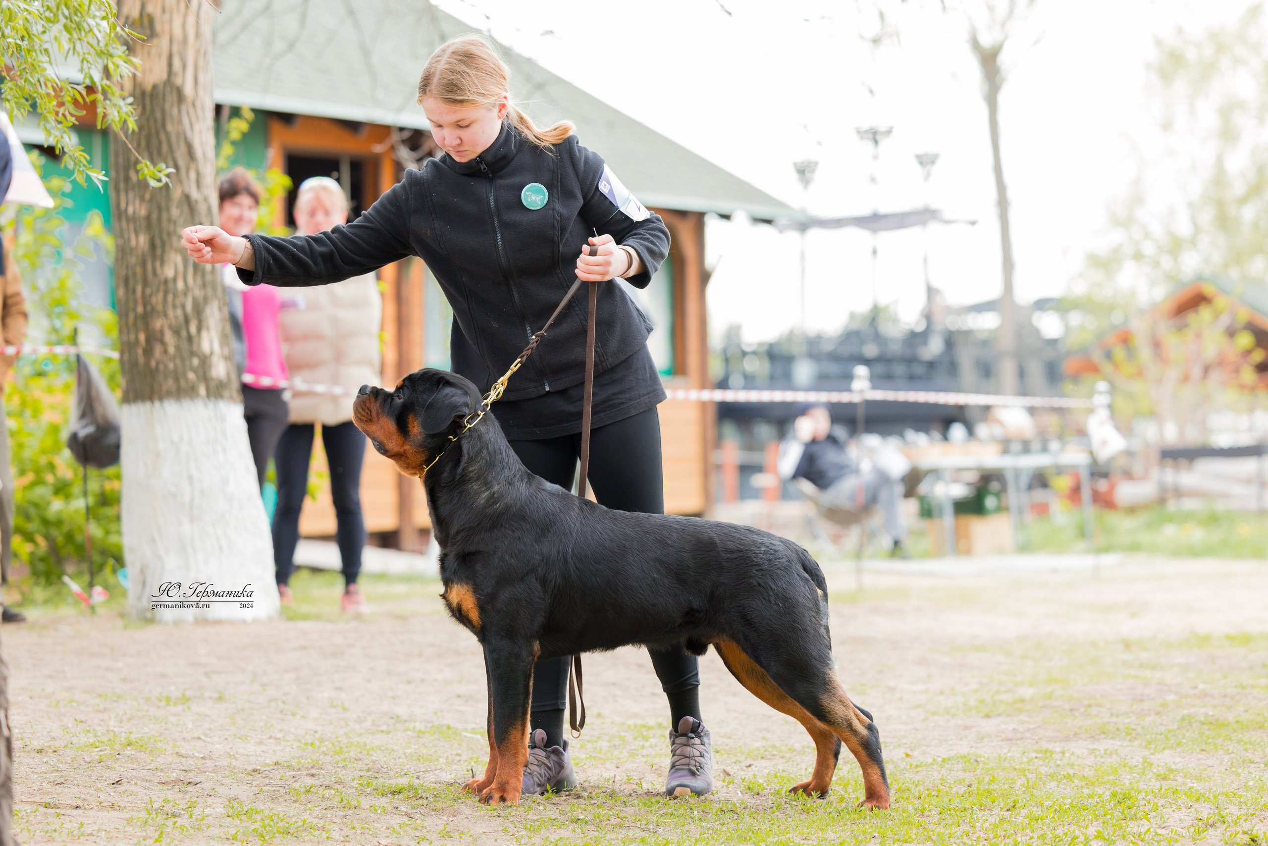 Саратов 2 х моно ротвейлеров 28-29.04.2024. Фотограф-анималист Юлия Германика