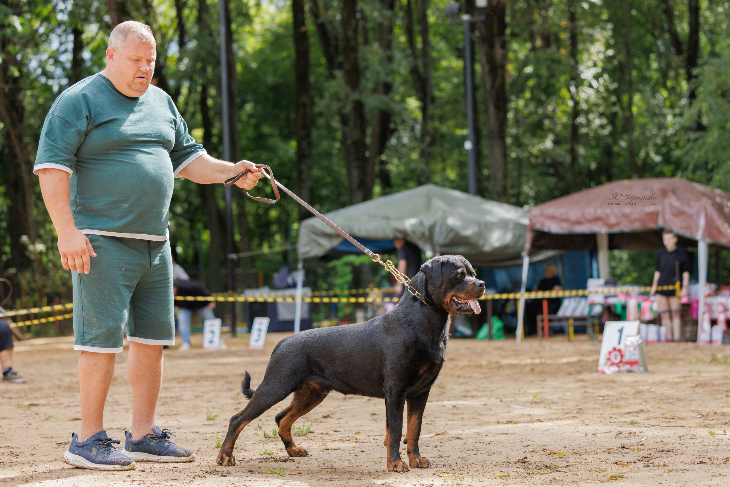 Рязань-Ховрино 10-11.08.2024 3хмоно ротвейлеров. Фотограф-анималист Юлия Германика