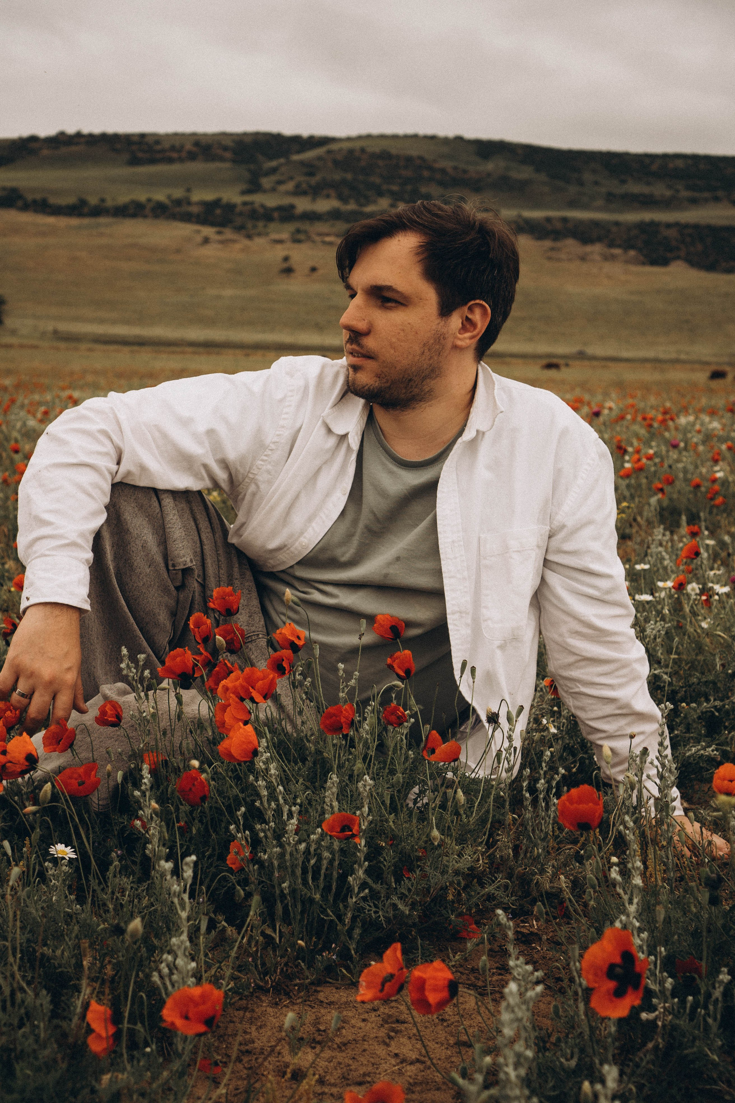 Маки. Профессиональный фотограф, Санкт-Петербург — Виктория Богомолова