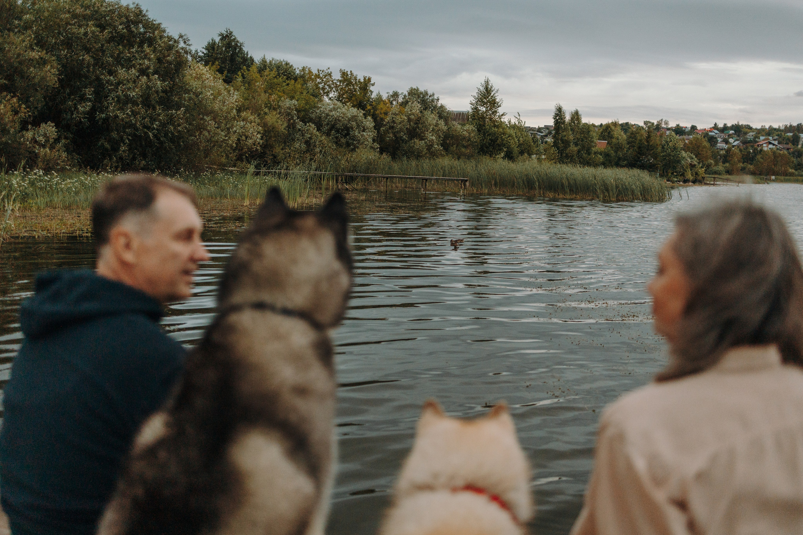 Дом у реки. Фотограф — Анималист | Санкт-Петербург