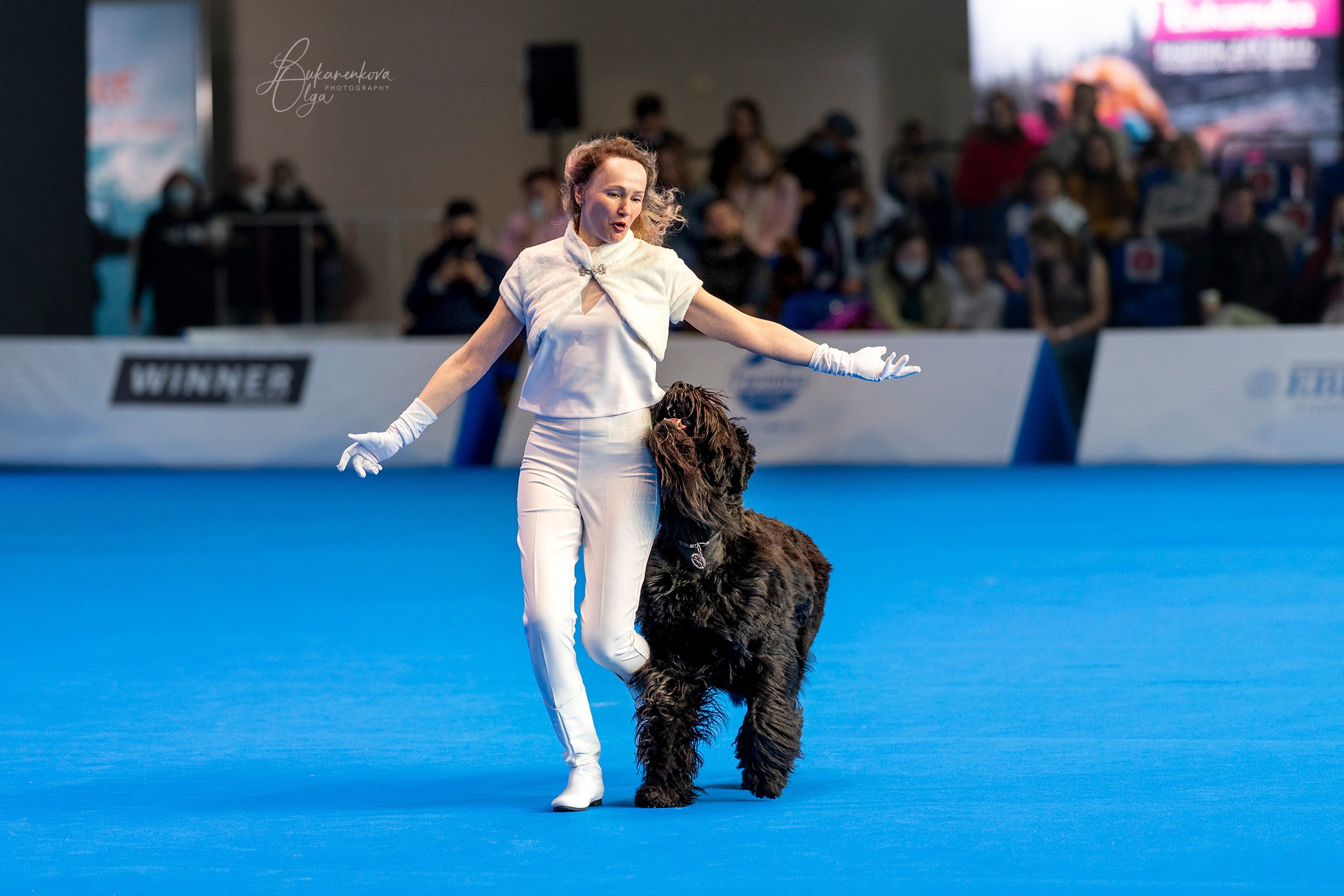 Танцы. Фотограф анималист Ольга Луканенкова в Москве