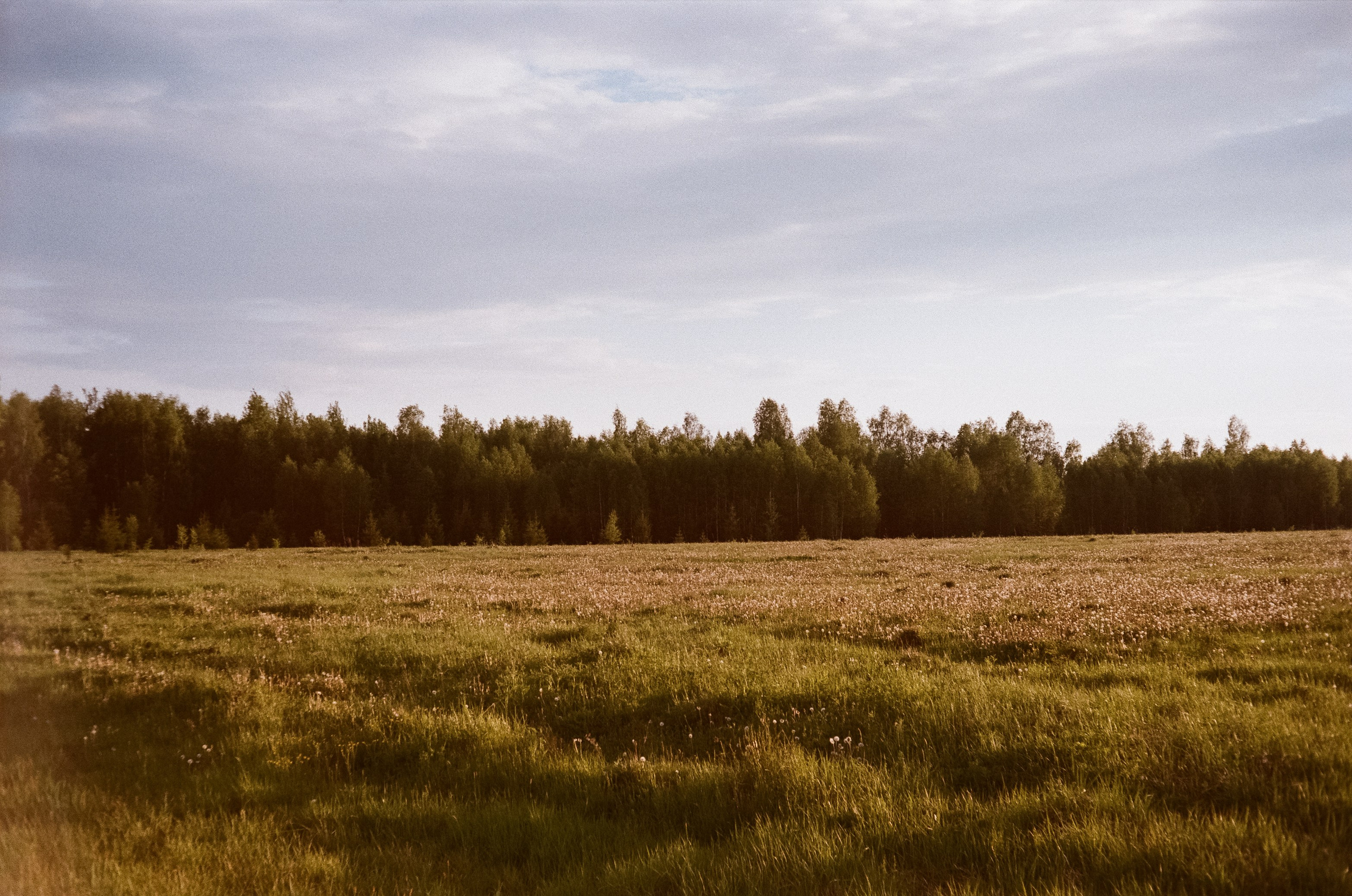 Konica IIIA / Fujicolor Superia 200 (просрочка) / Благовещенский переу