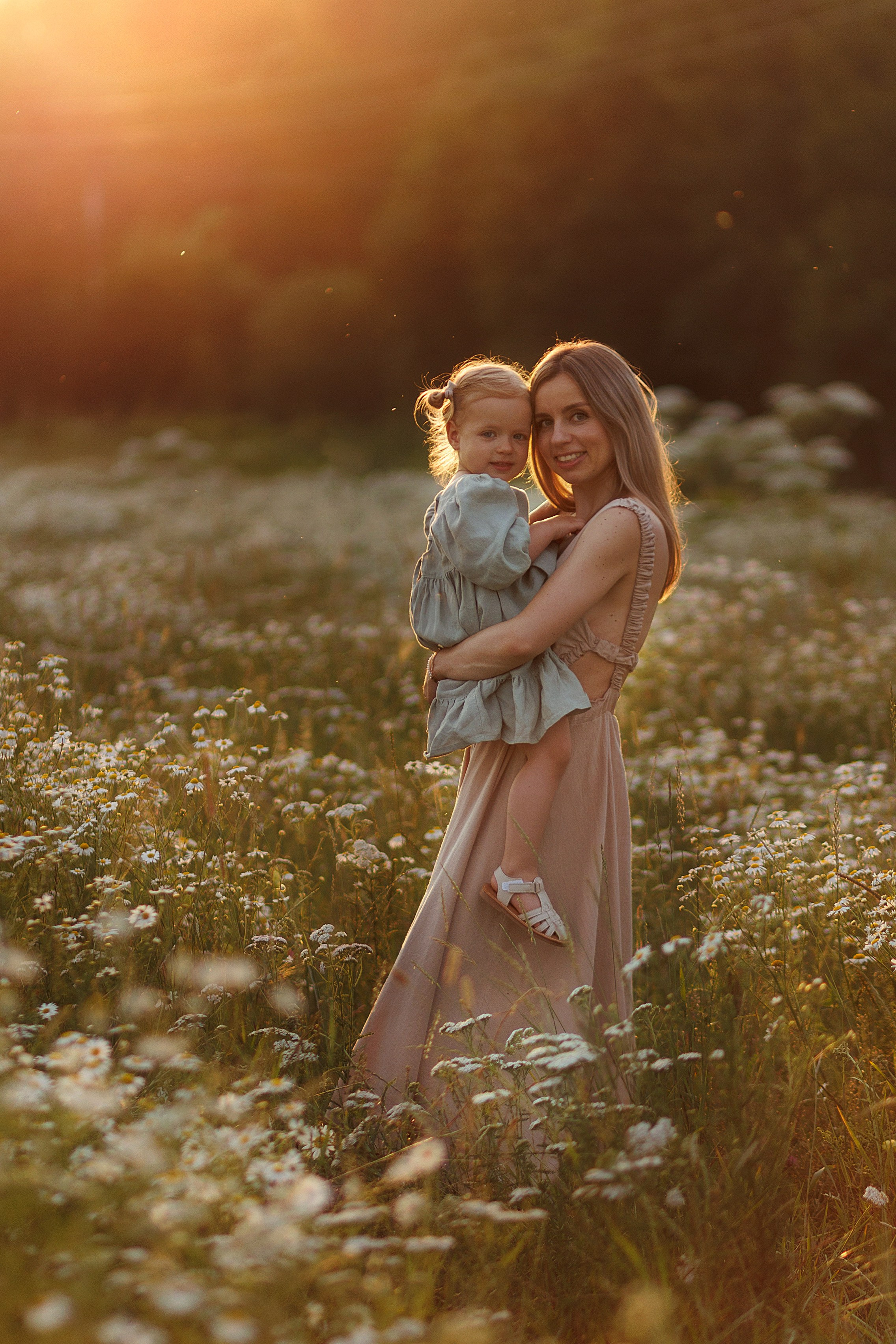 В ромашковом поле. Фотограф в Красногорске и Москве