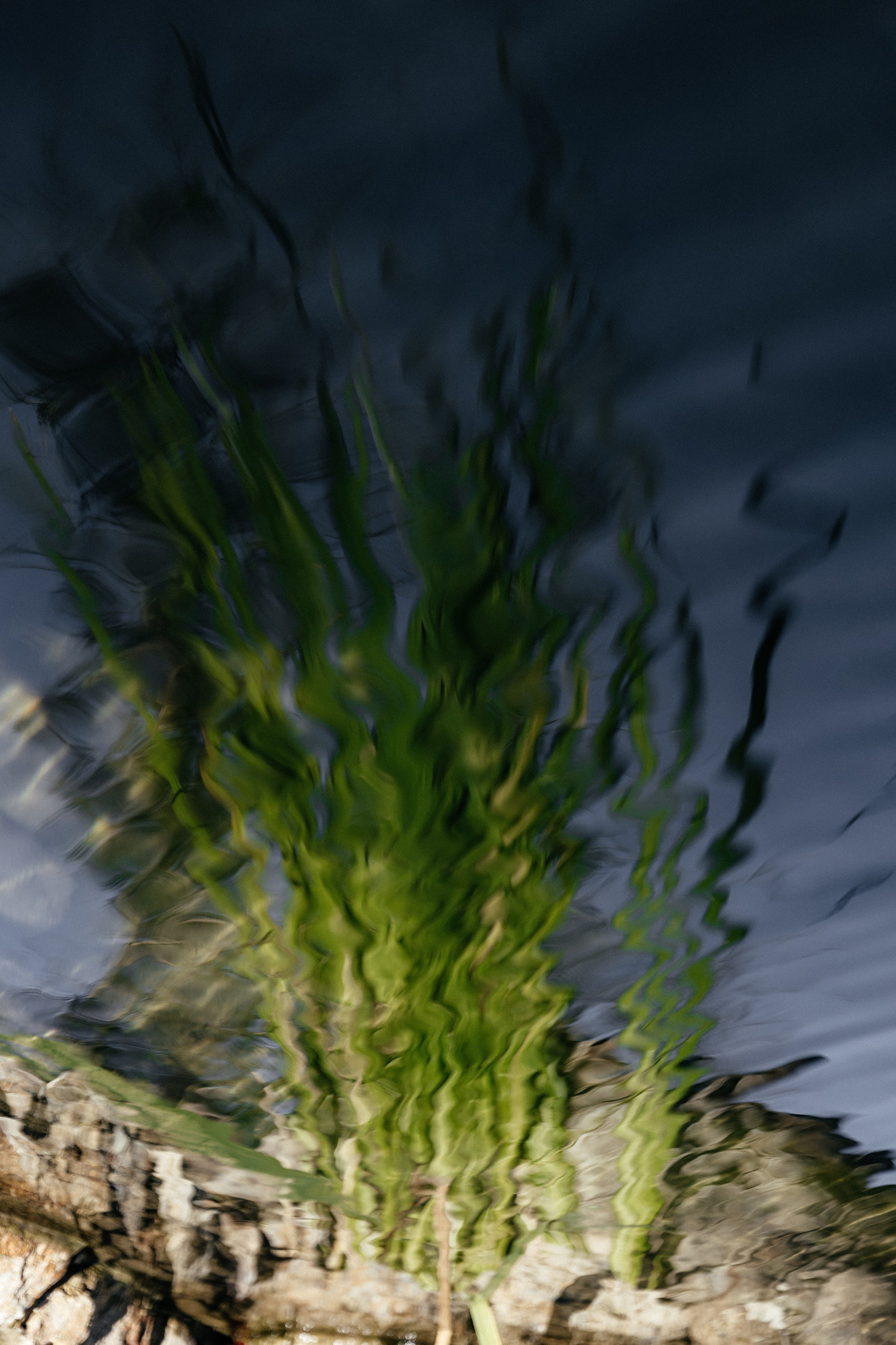 Павел и Дарья. Фотограф Айвазова Наталья Краснодар