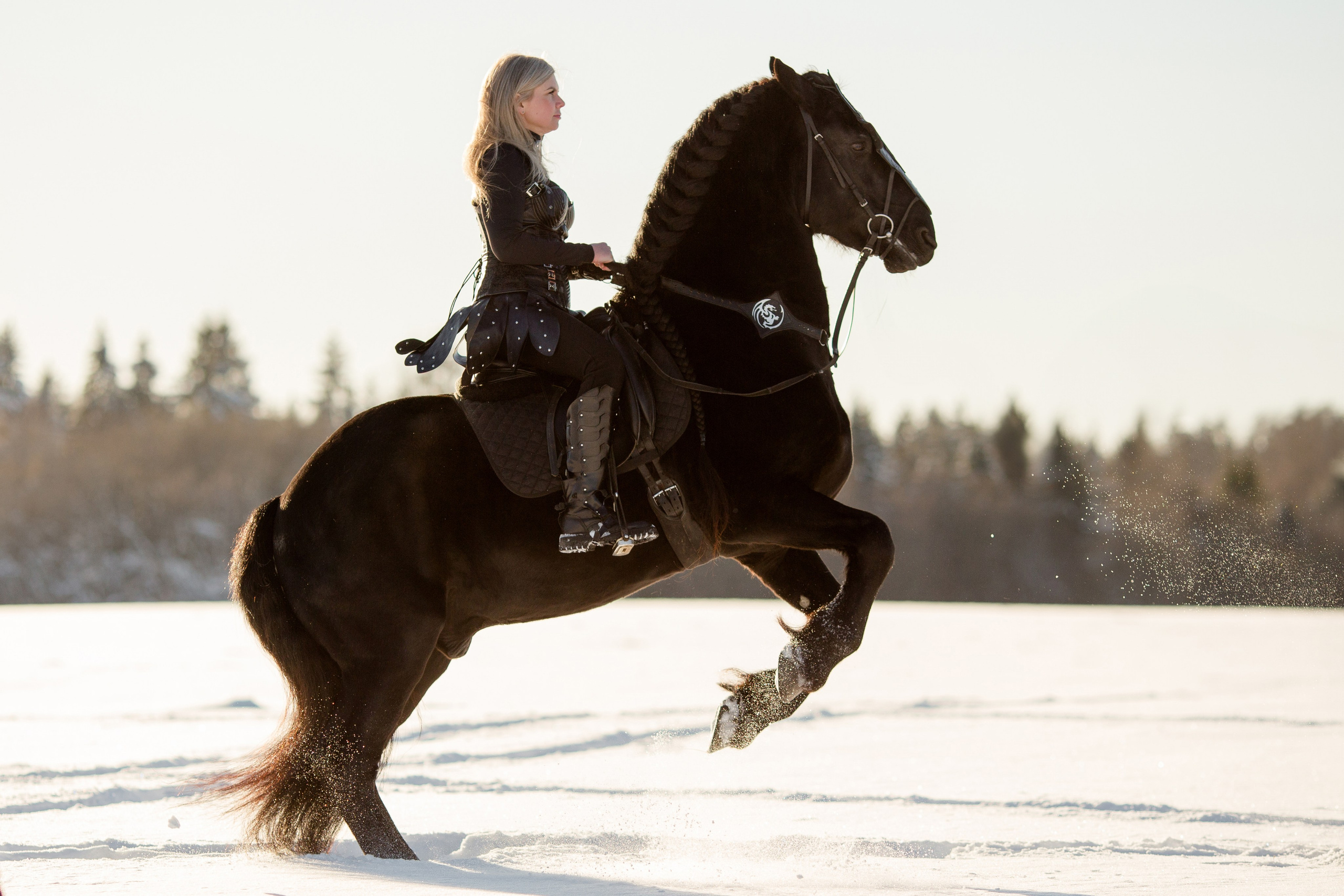 Зимняя фотосессия в скандинавском стиле с лошадью