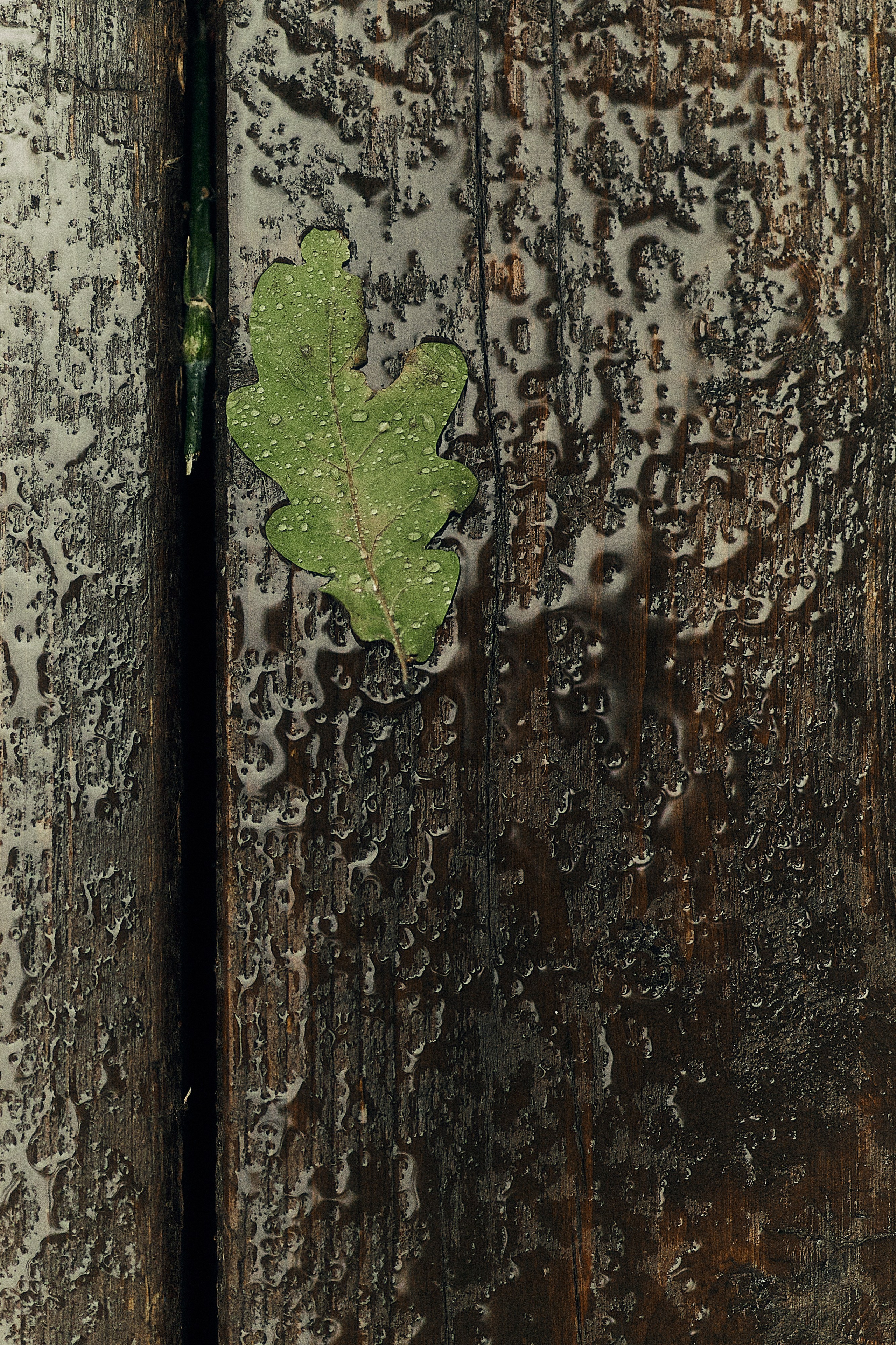 Анастасия и Влад. Свадебный и семейный фотограф в Иваново и Москве Мильков Вадим