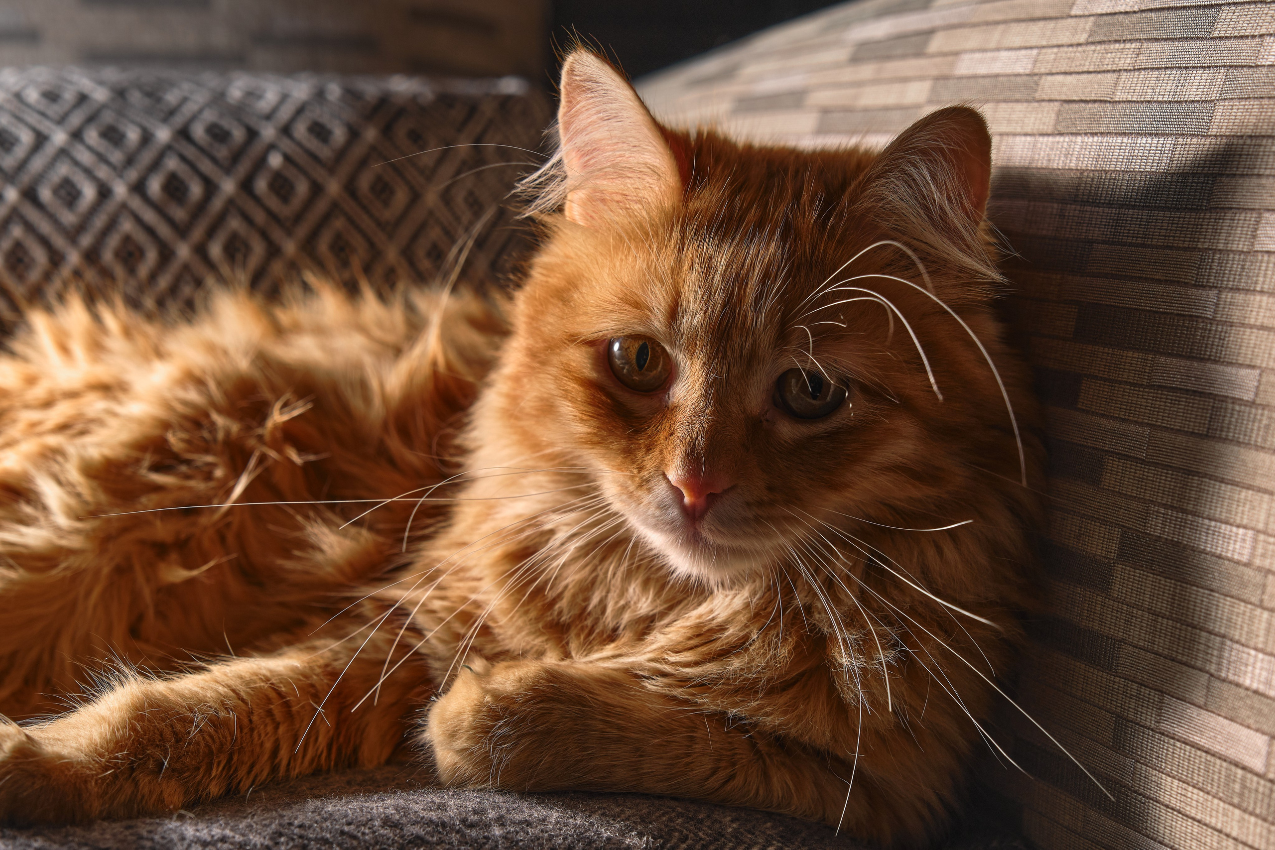 Cyprus 2024 / march. Aleksandr Kobtsev