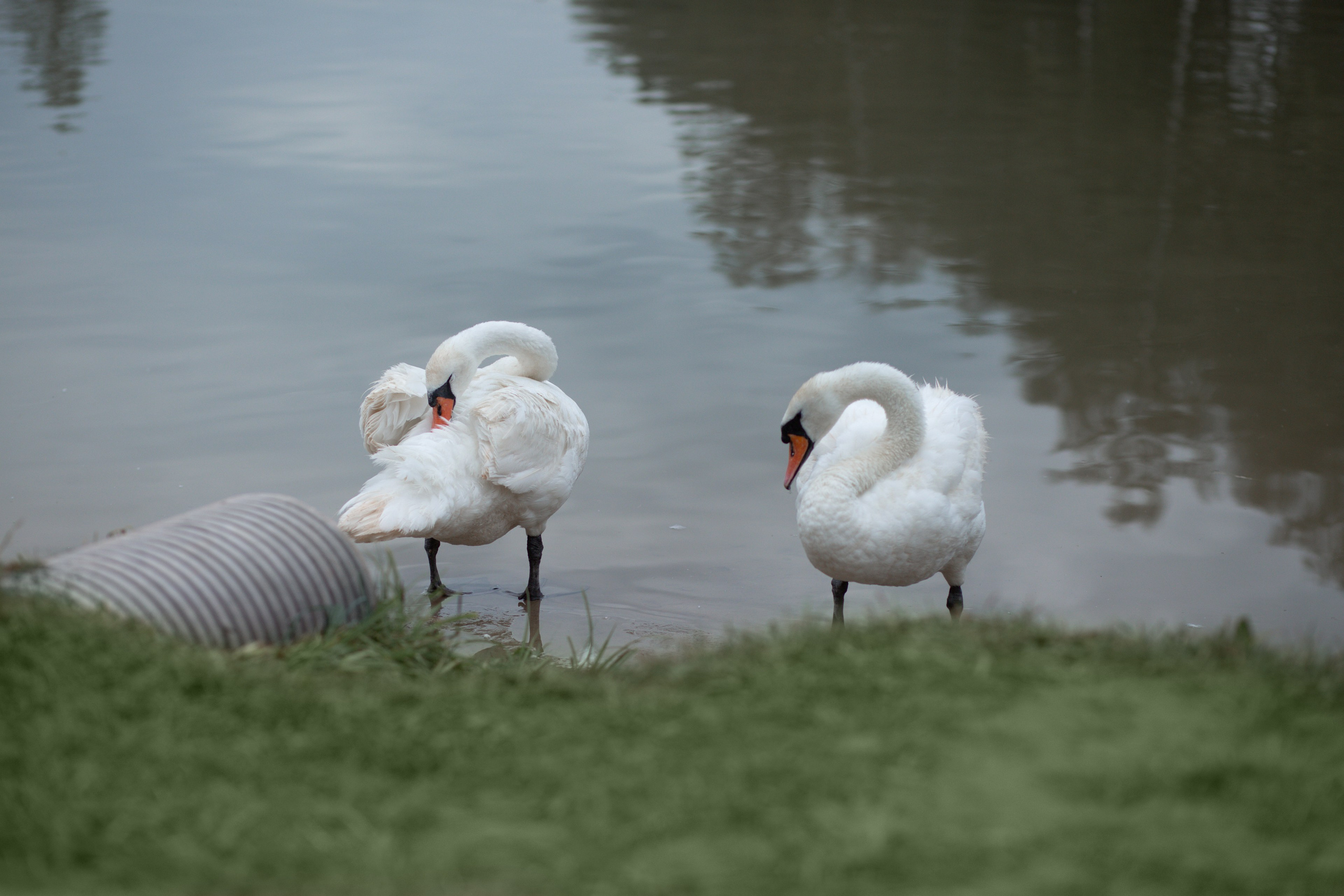 Этно-фестиваль в Кольцово. Фотограф в Новосибирске Краснова Евгения