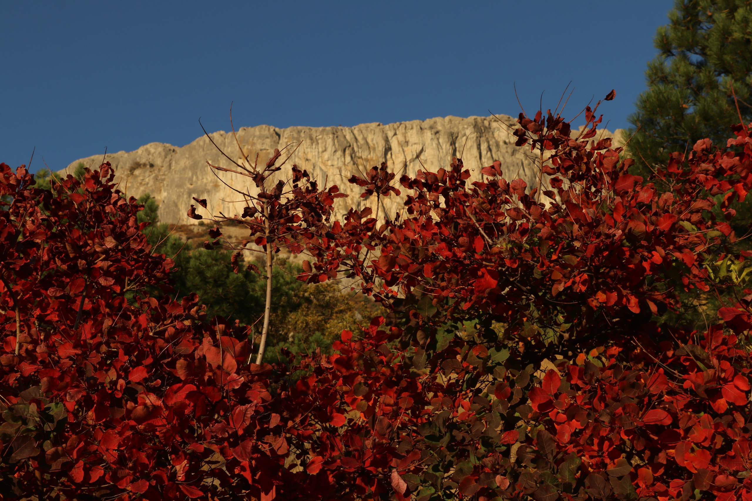 Крым. ЮБК (Гурзуф, Судак и их окрестности). Ноябрь 2023. Путешественник-фотограф из Санкт-Петербурга Татьяна Свистулина
