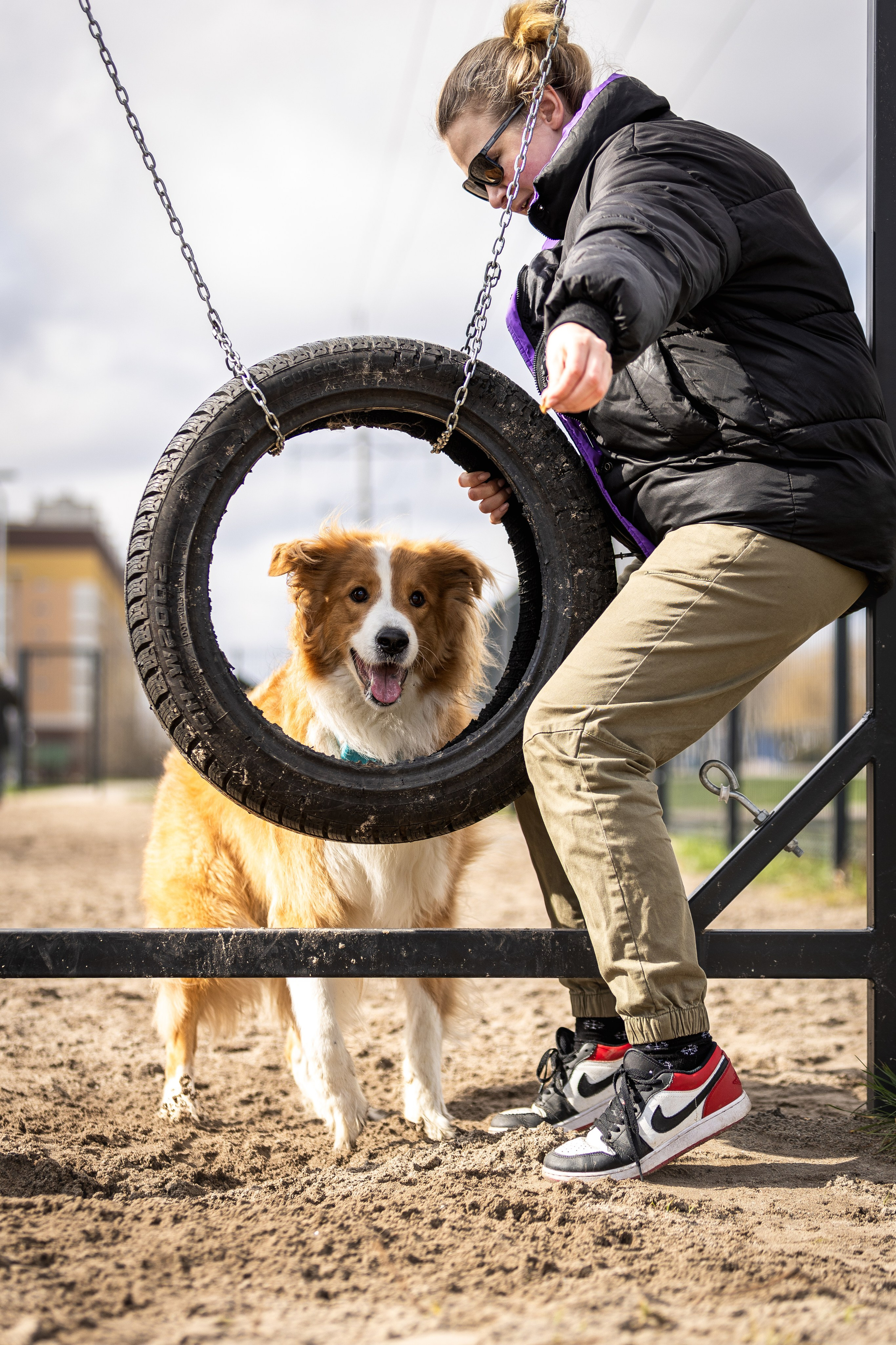Догтуса 24.03.2024. Ирина Голомб|Фотограф-анималист в  Сочи и Калининграде