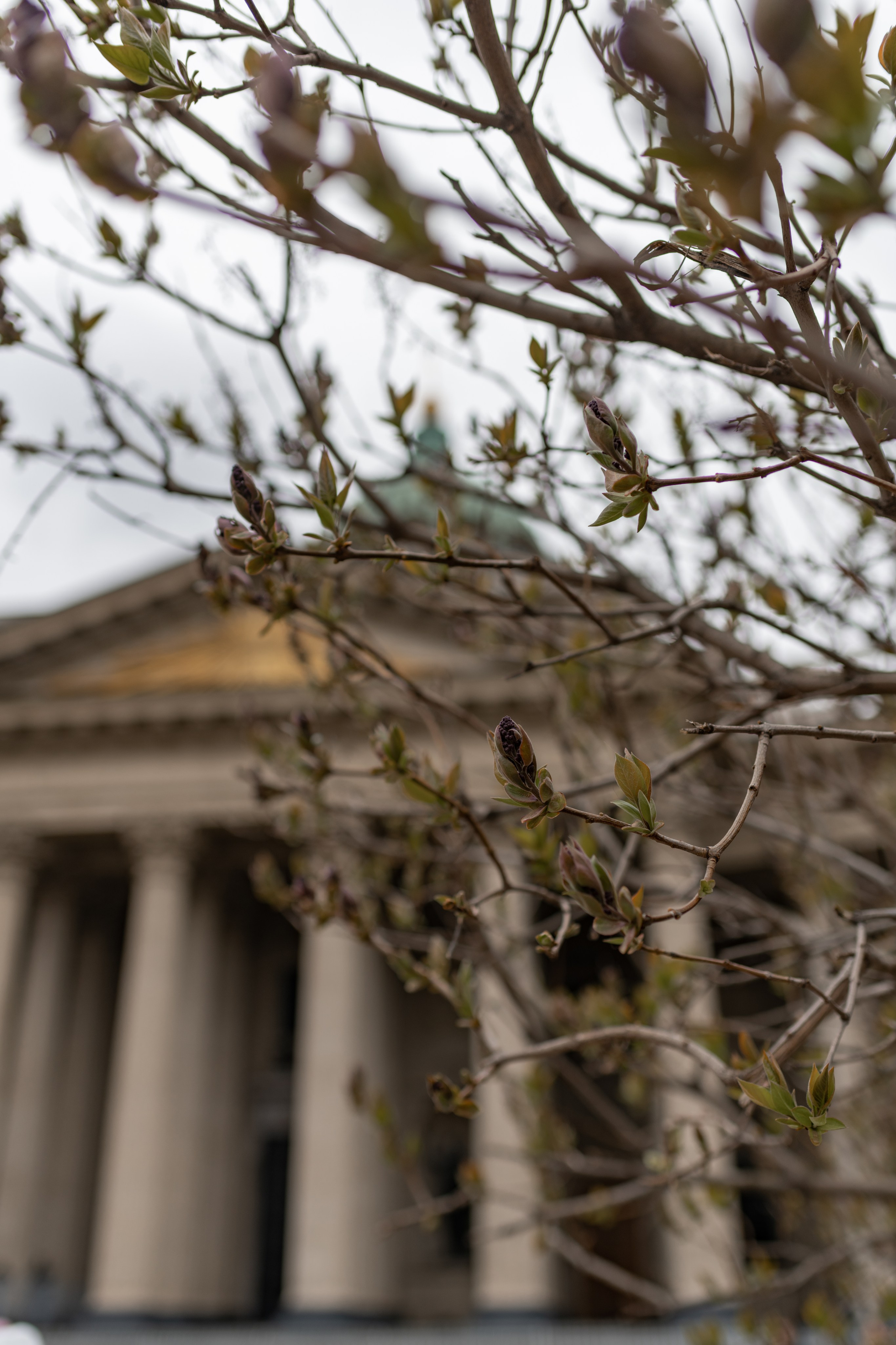 Аделина в Питере. Фотограф в Москве/Зарайске Шахова Марина
