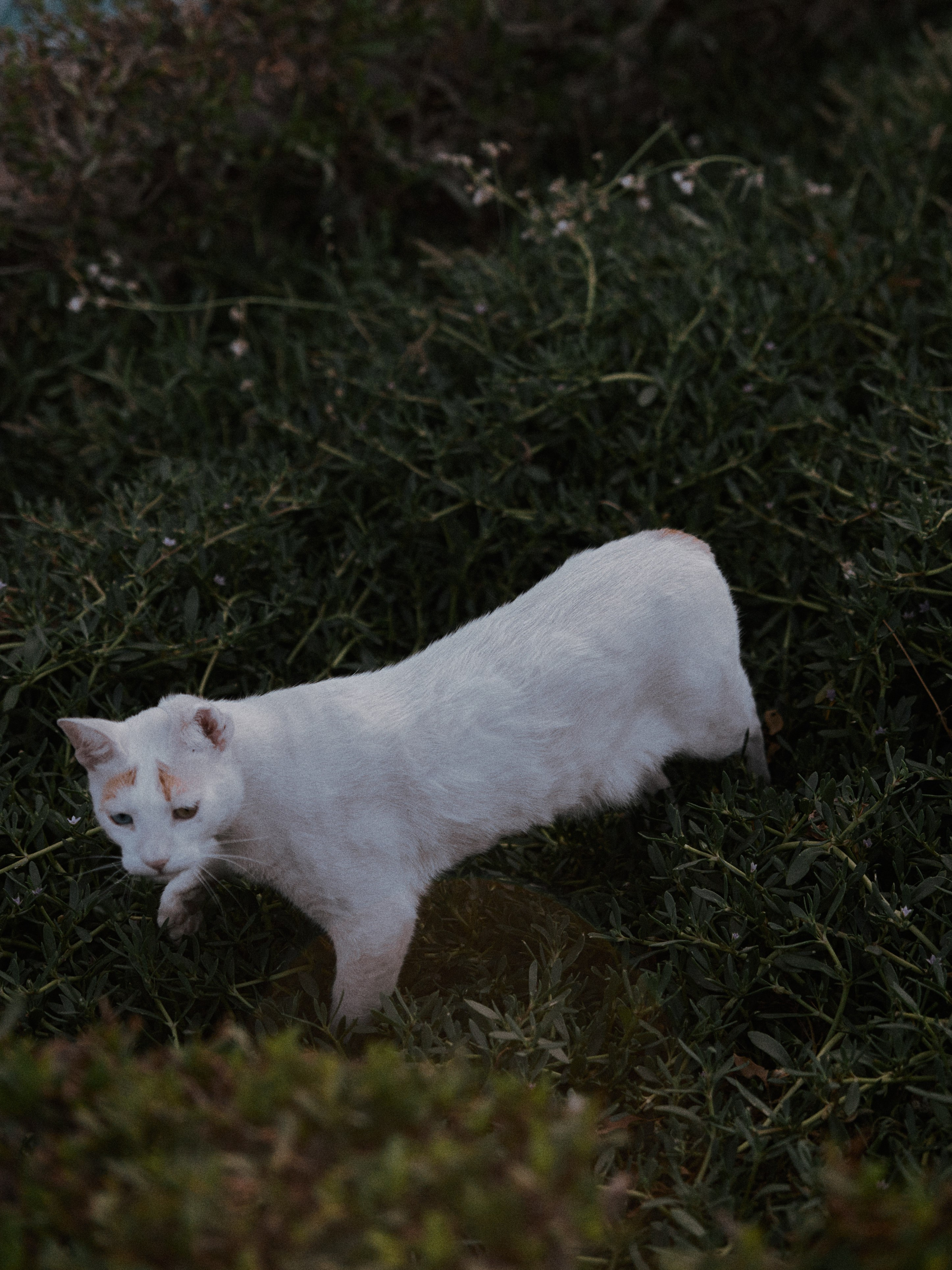 Природа. Jorgis Talè — photographer, kind person, teacher of arts and other mag