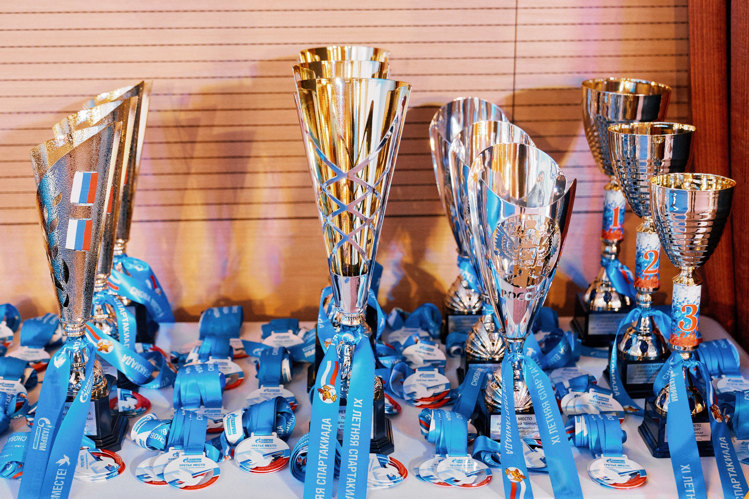 Газпром. Энергохолдинг. Репортажный фотограф Владимир Горбатенков | Москва