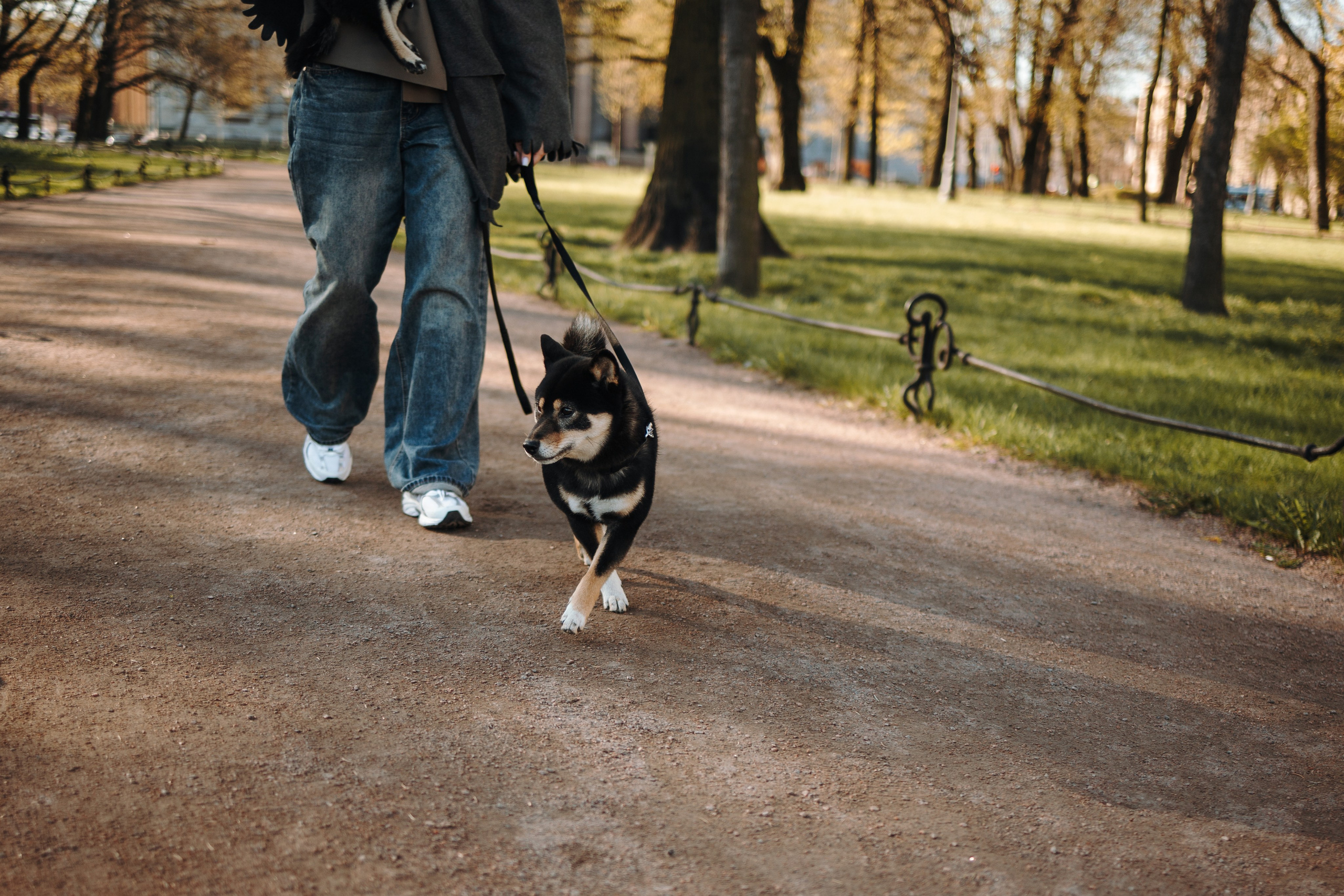 Даша и ее девочки. Фотограф — Анималист | Санкт-Петербург