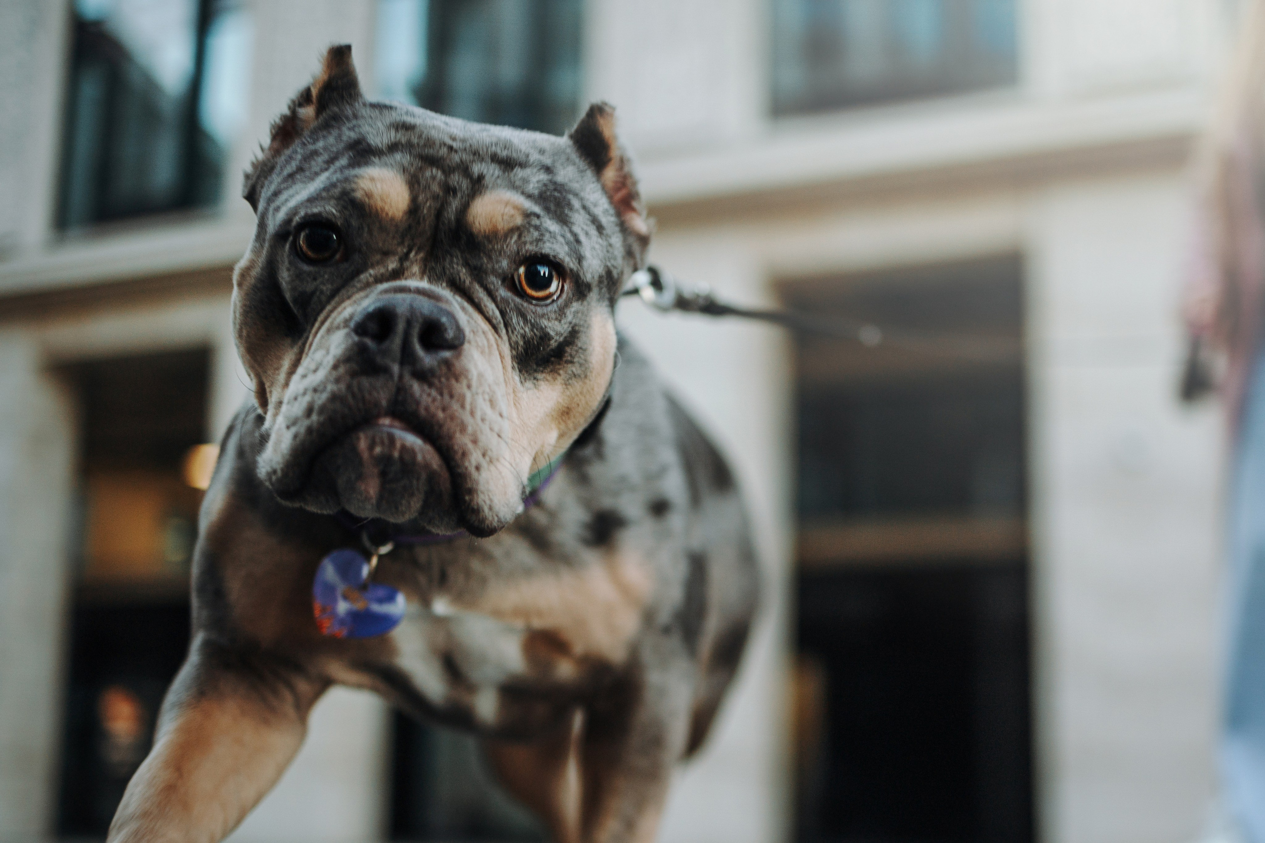 Лера и ее булочки. Фотограф — Анималист | Санкт-Петербург