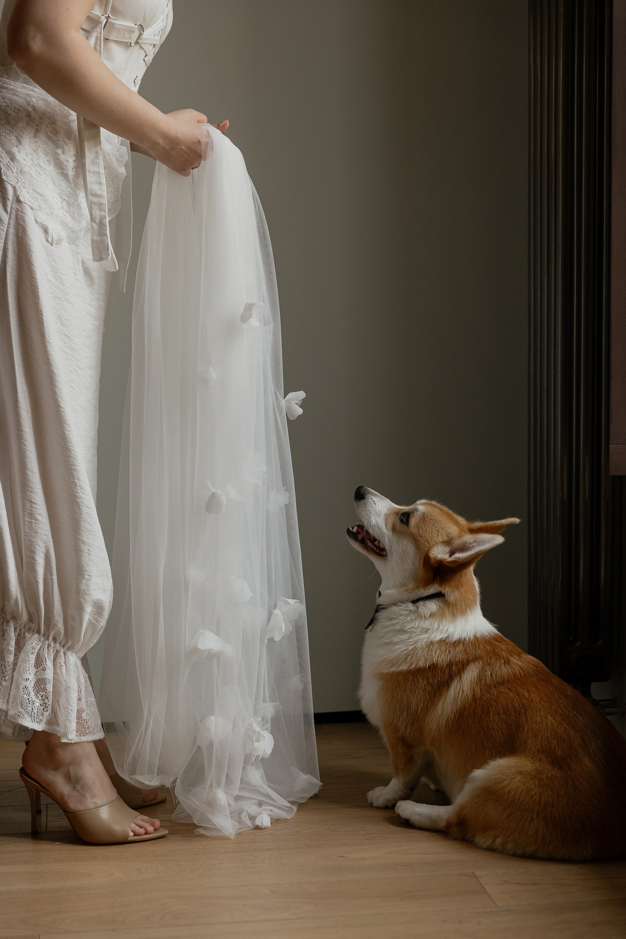 WEDDING M&P. Свадебный фотограф Дмитрий Краснов. Санкт-Петербург