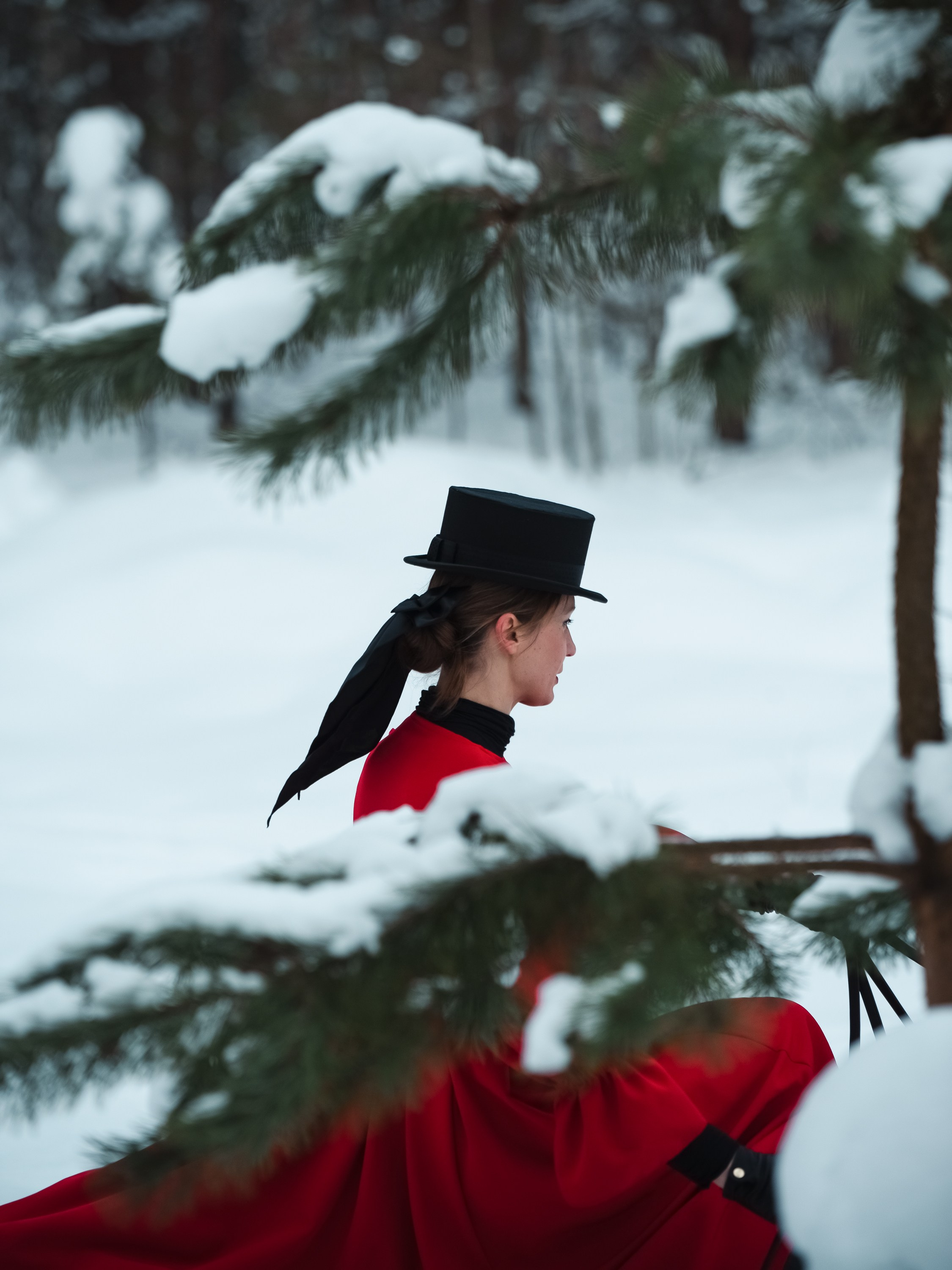 Фотосессии с лошадьми в Санкт-Петербурге. Съемки с лошадьми. Фотограф в Санкт-Петербурге. Съемки с лошадьми