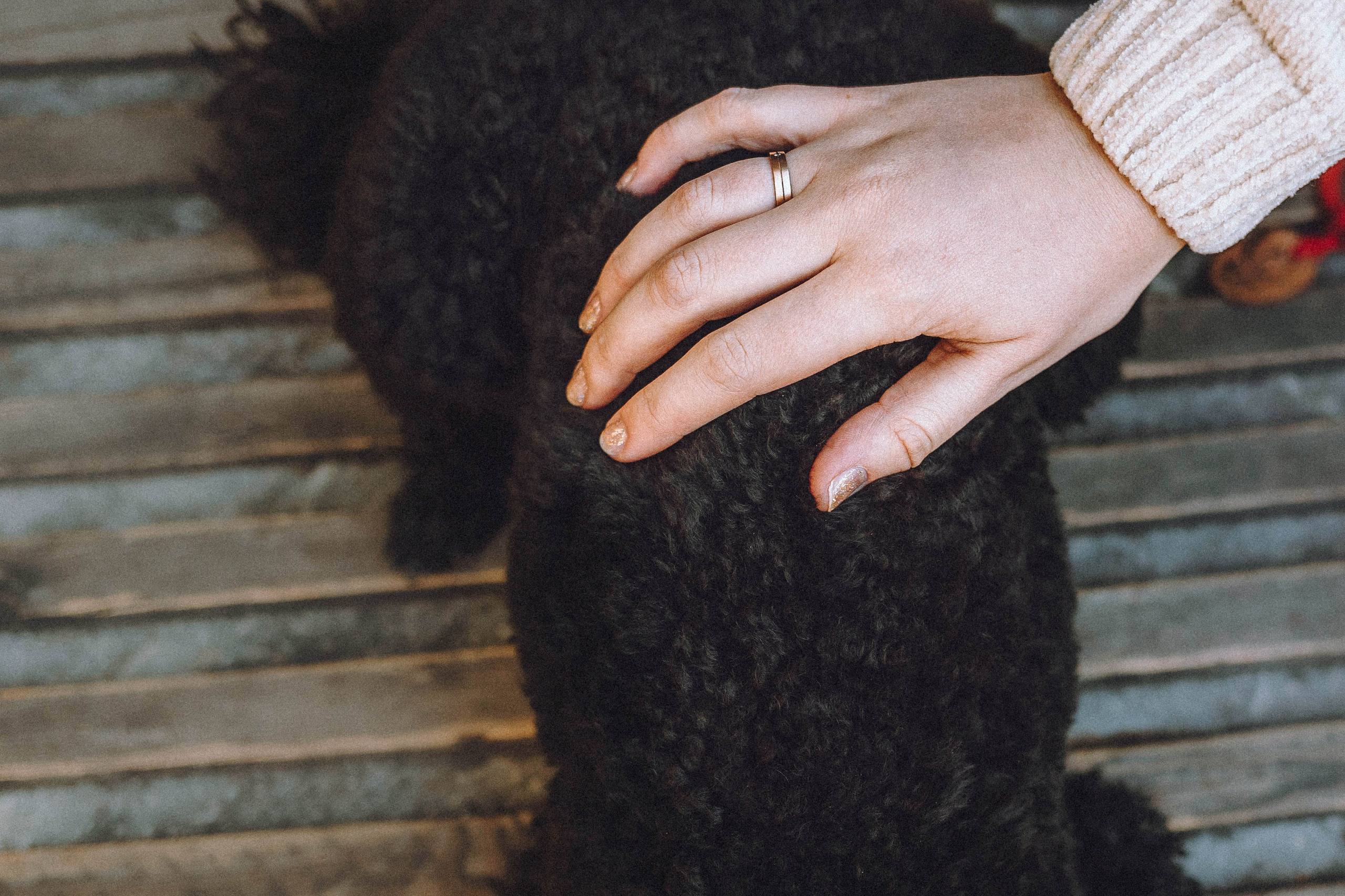 Игнат, Даша и Бэтти