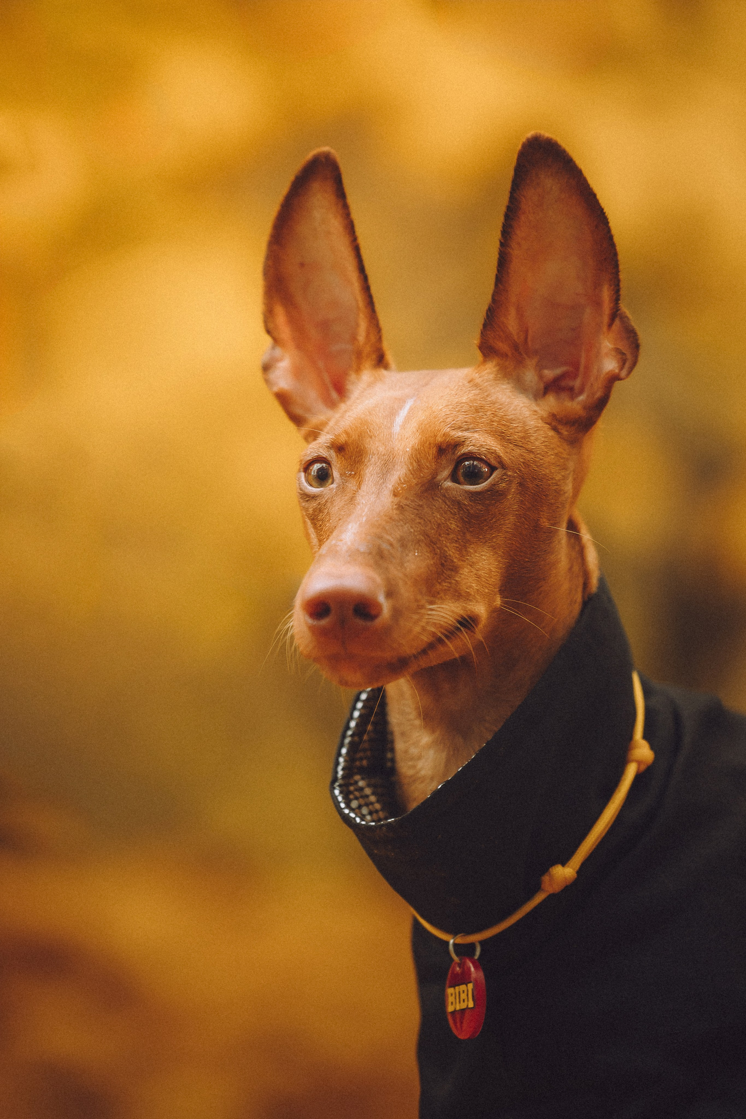 Даша и Биби