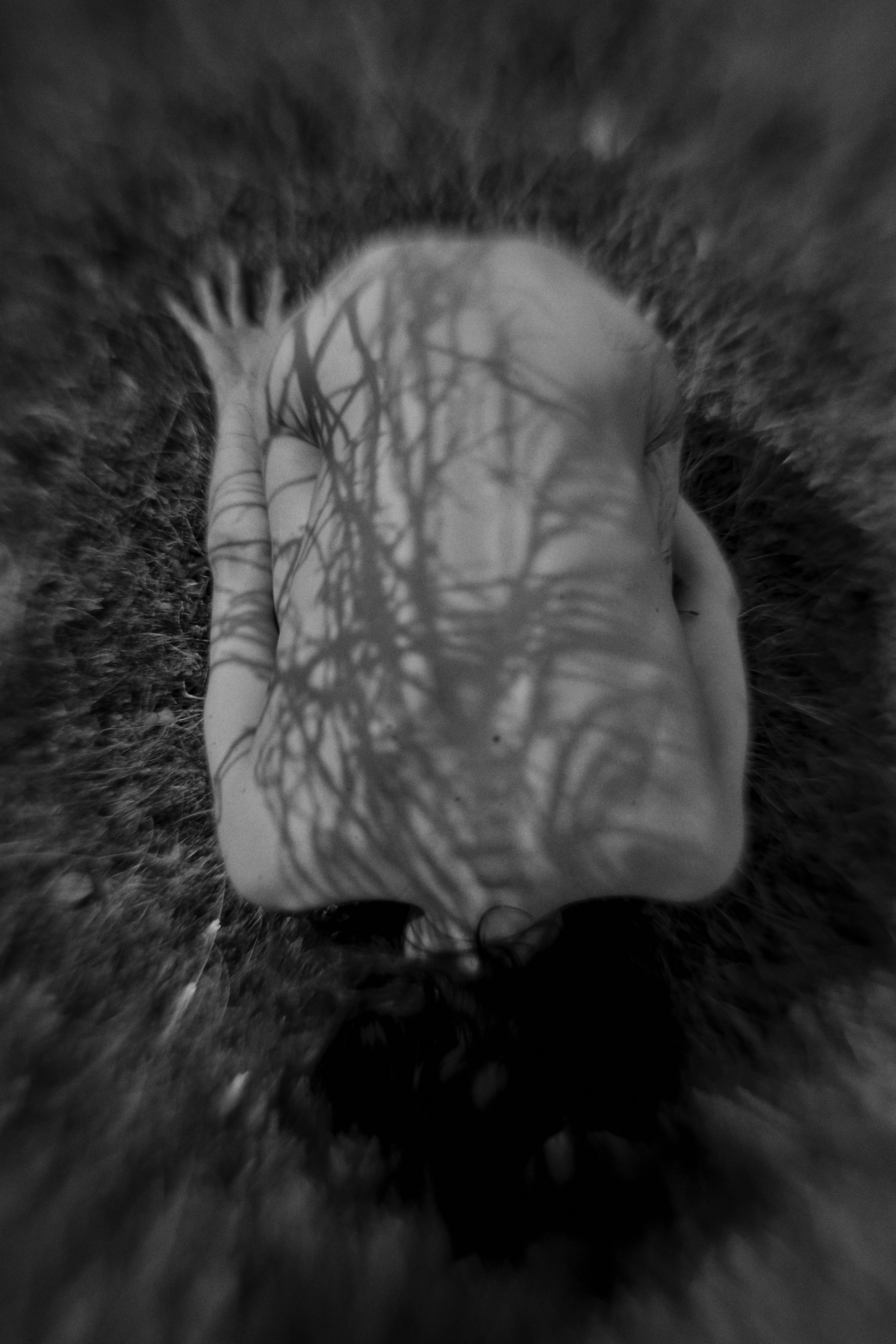 Visual artist/photographer Dayneko Tatyana Krasnoyarsk