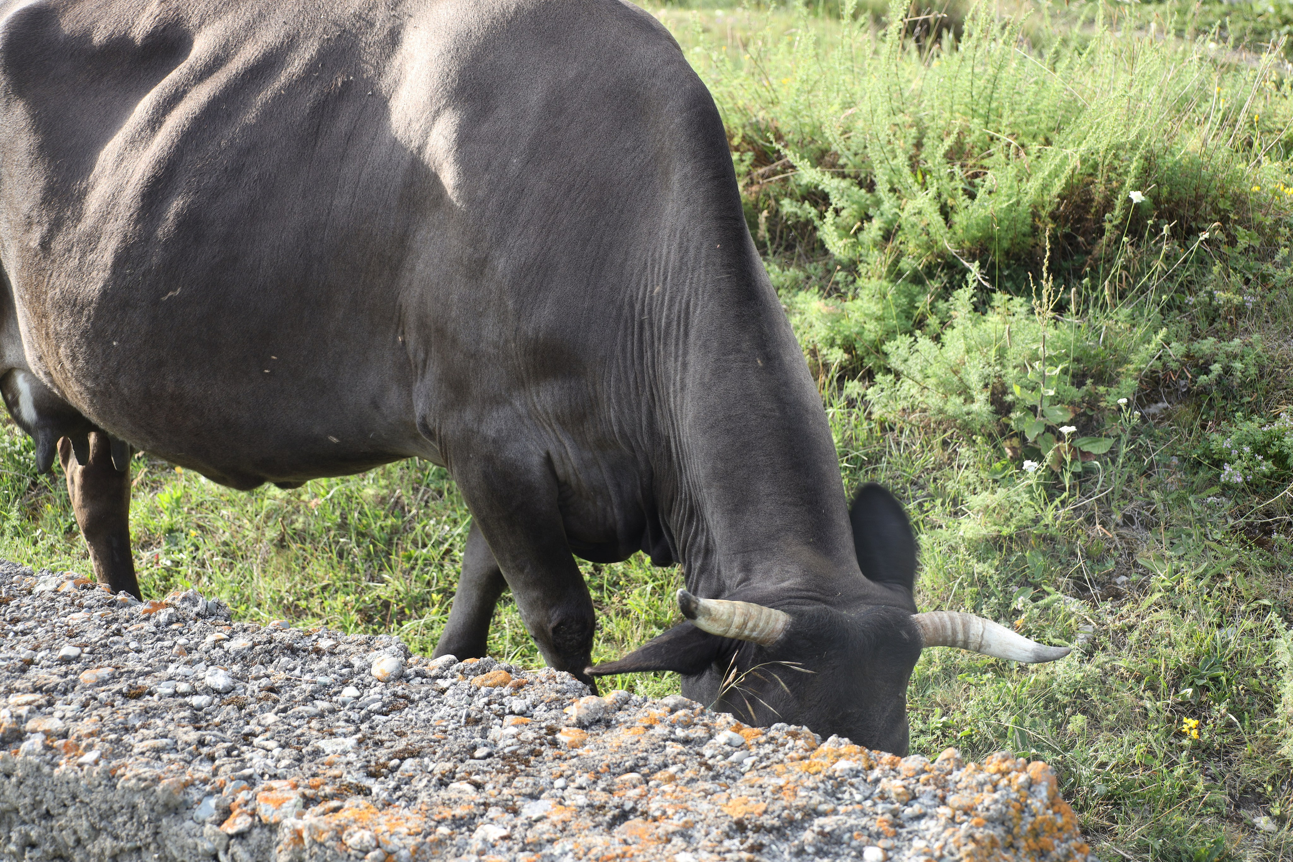 Северная Осетия июль 2025 год. Кармадон, Даргивз и Цей. Семейный детский фотограф Краснодарский край Оксана Колос
