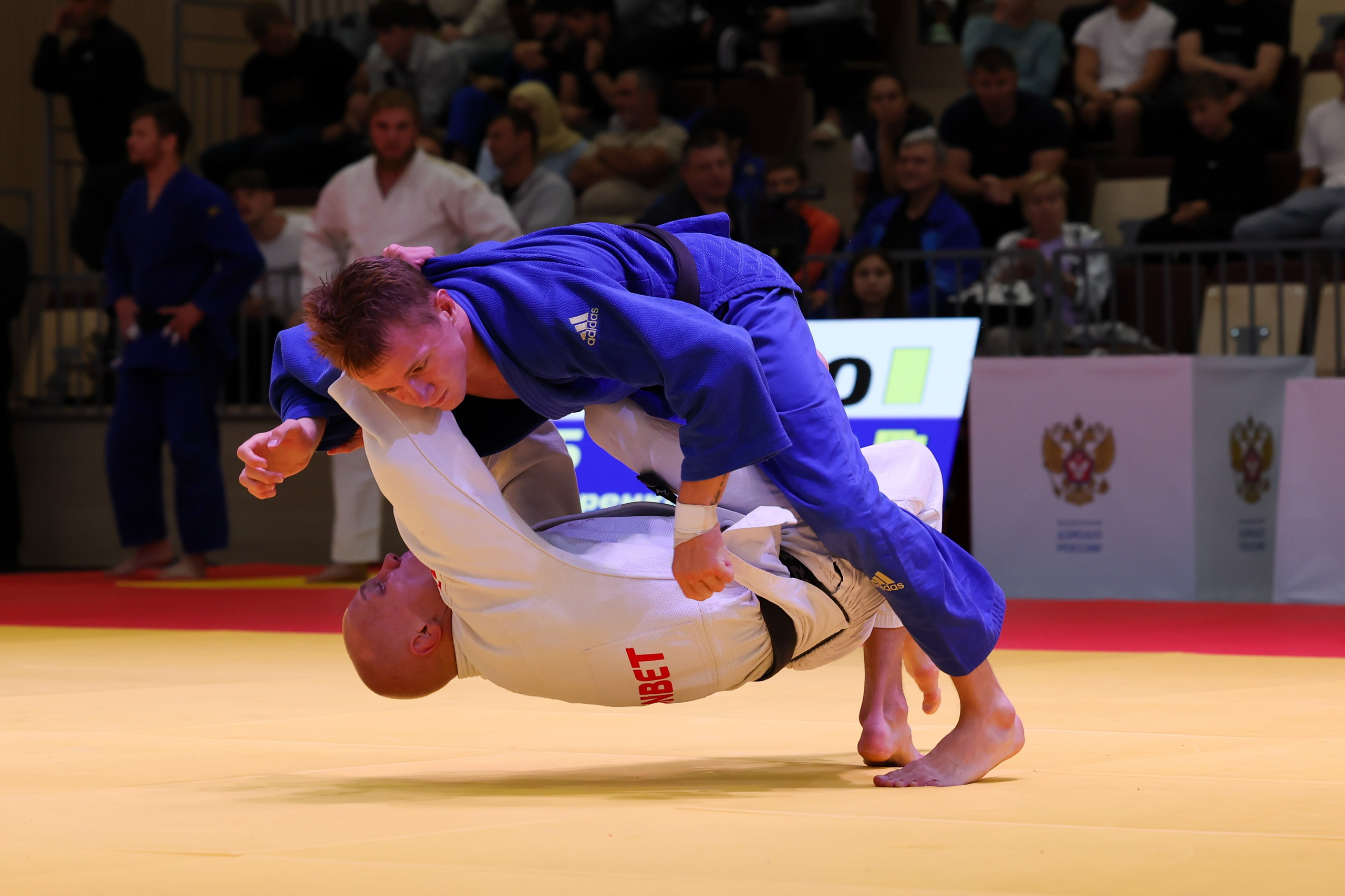 Легенды петербургского дзюдо 16.08.2025. Спортивный и репортажный фотограф Антон Тереханов