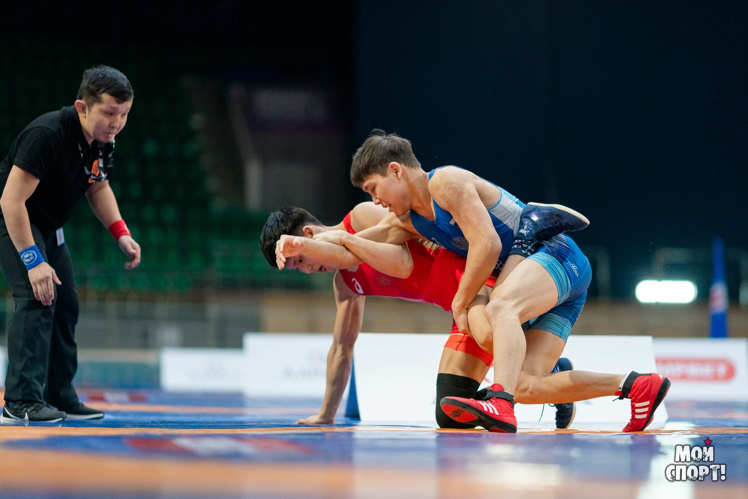 XII Международные соревнования по спортивной борьбе пам. Р. М. Дмитриева. Студия «Мой Спорт!» — все о спорте в Якутии