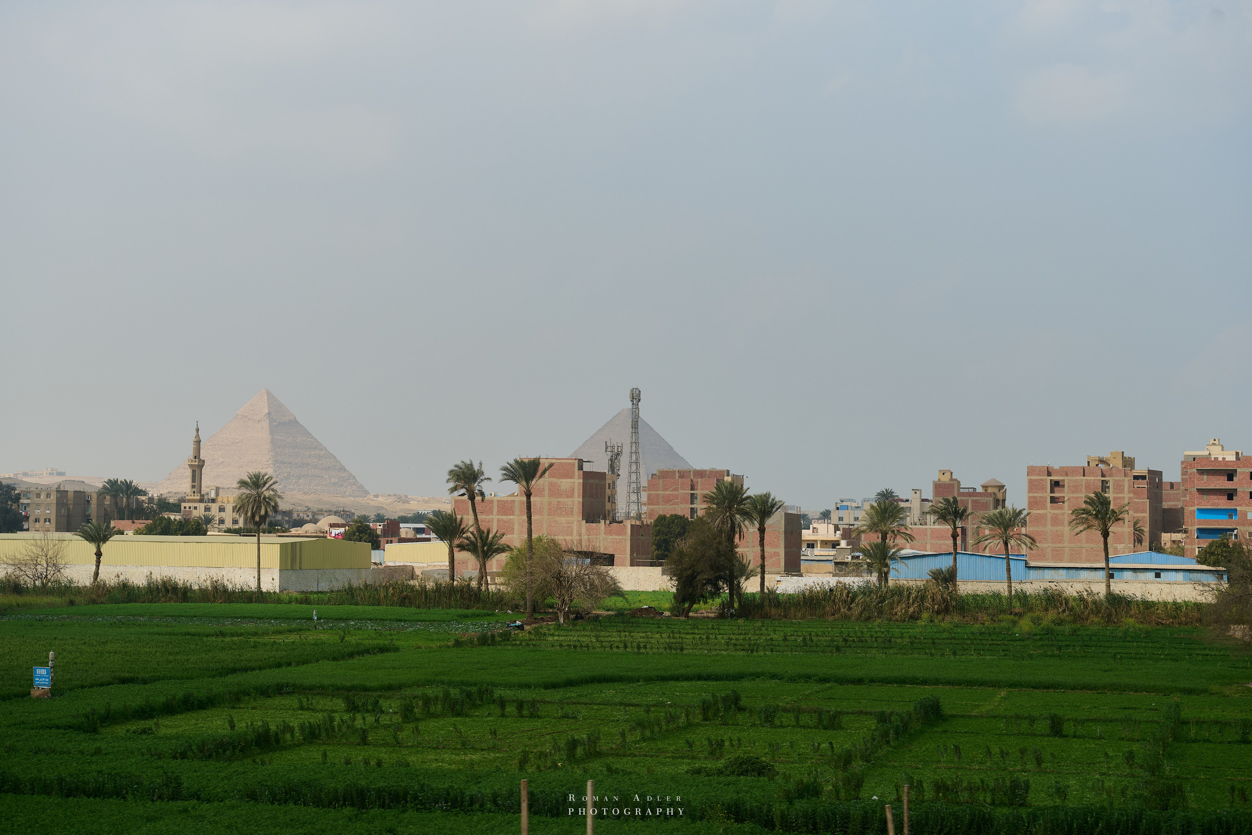 Гиза (Мемфис). Февраль 2025. Фотограф Роман Адлер