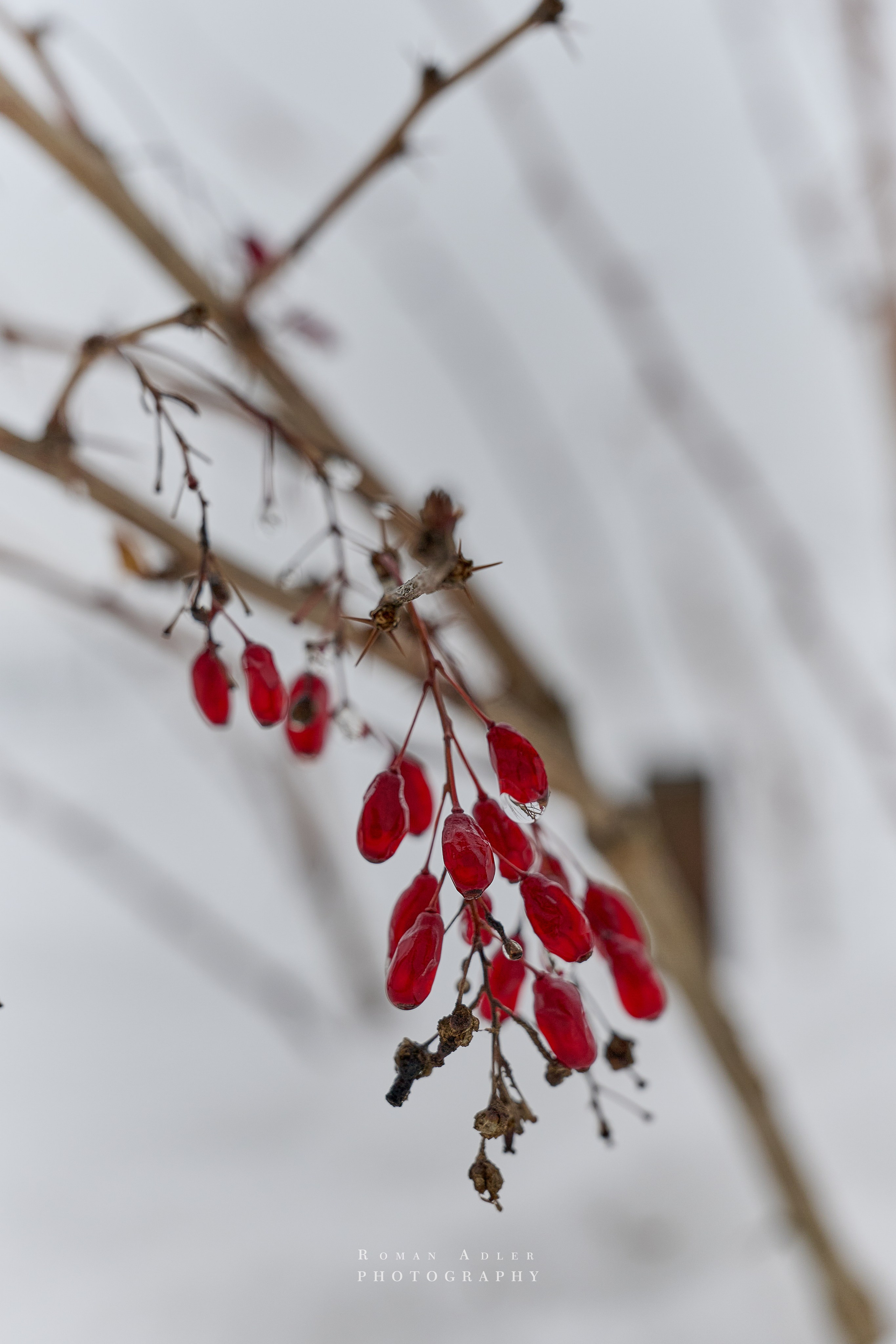 Тобольск. Март 2025. Фотограф Роман Адлер