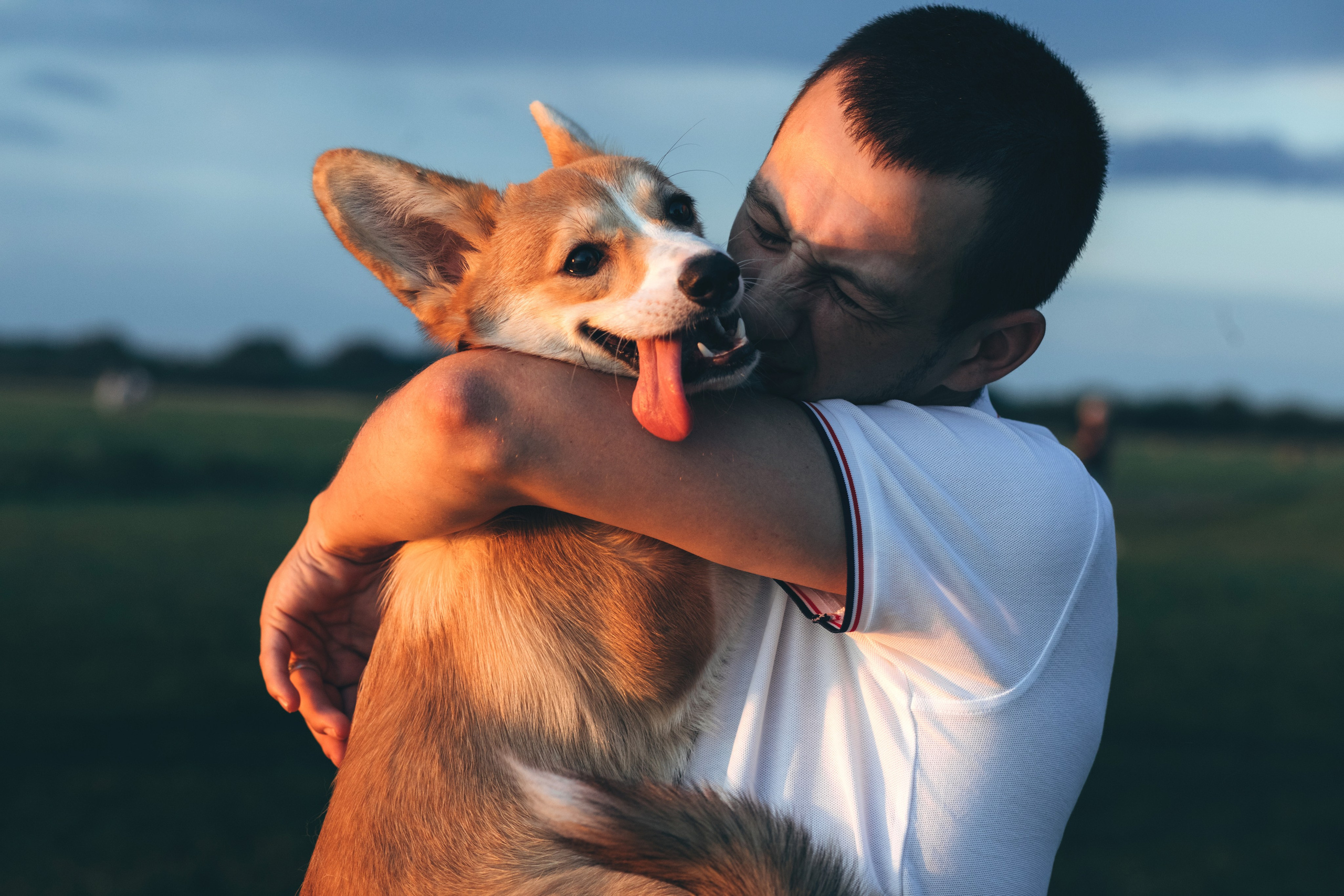 4 лапы, 2 пары ног и одно сердечко на троих ❤. Фотограф Анастасия Романова Рязань