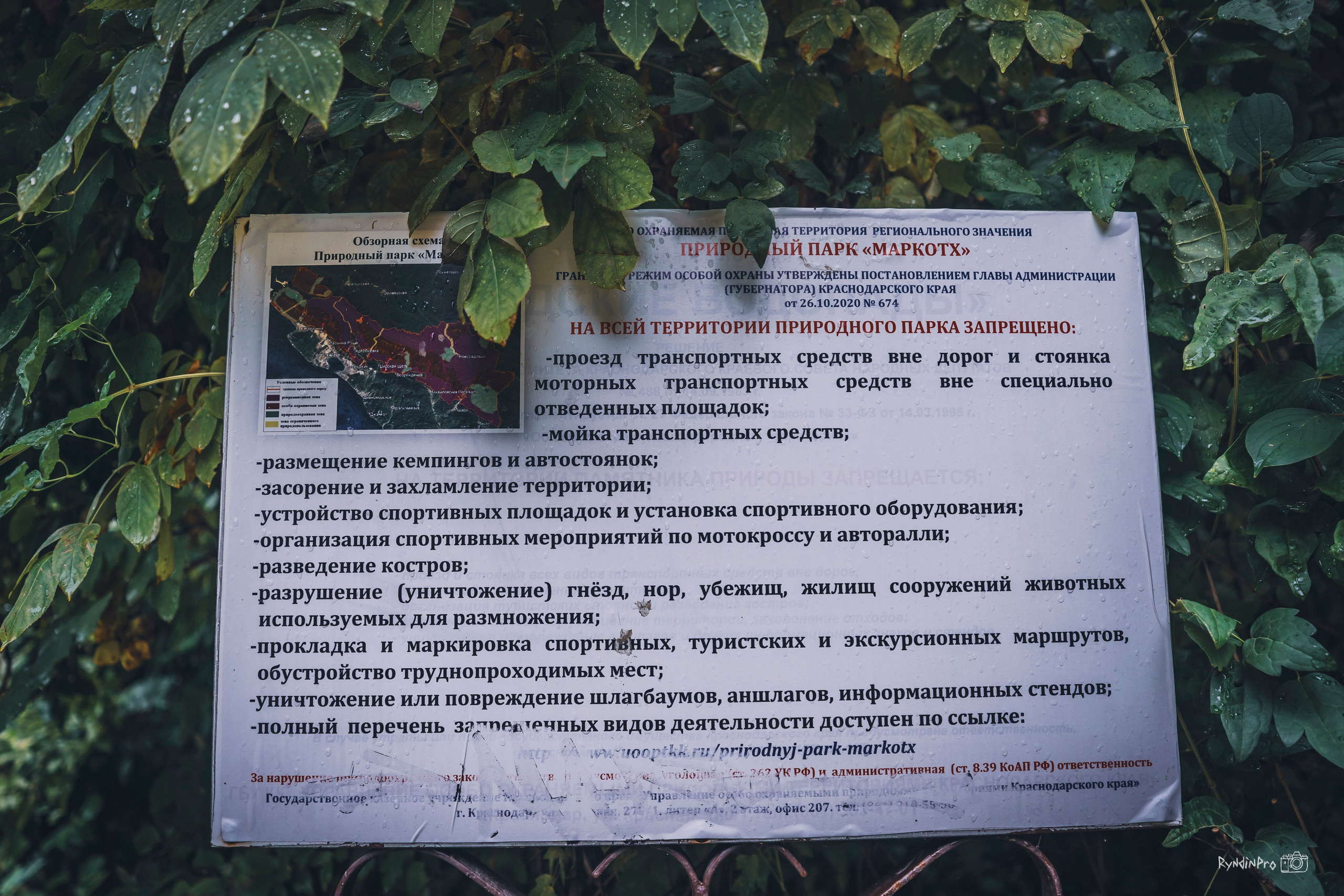 Поход на водопады Куаго с командой Мадьяр 23.07.24. Репортажный фотограф в Краснодаре Рындин Дмитрий