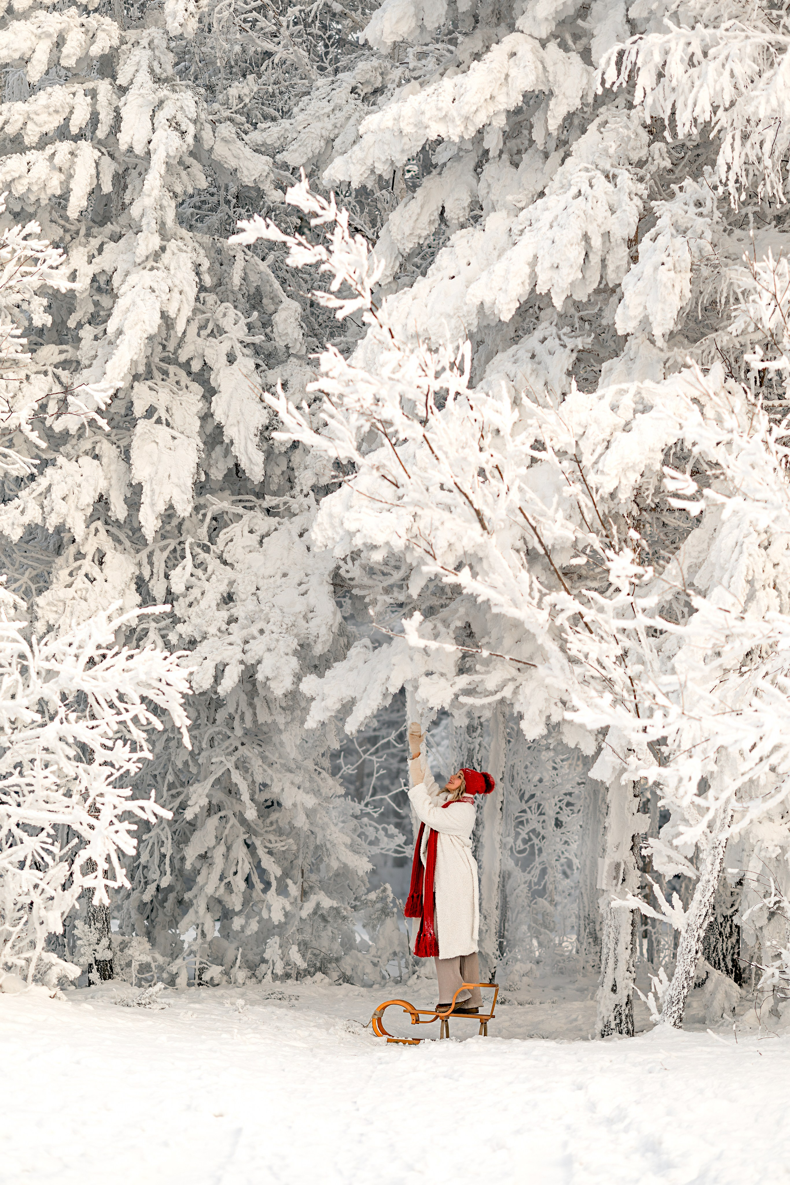 Зимняя сказка. Детский и семейный фотограф в Красноярске Елена Коровкина