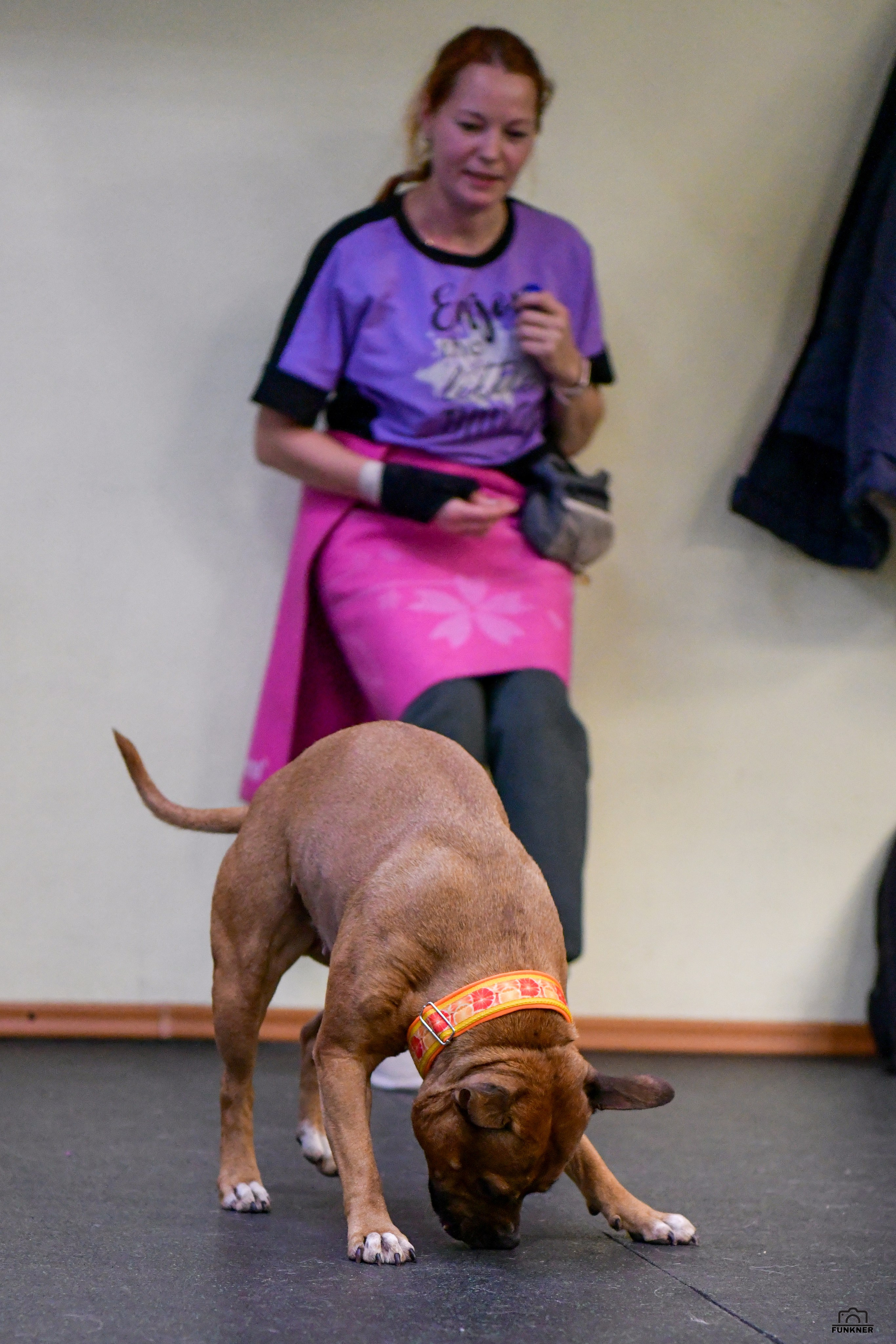 Кинологический клуб «Бодрый хвост». Свой взгляд через объектив